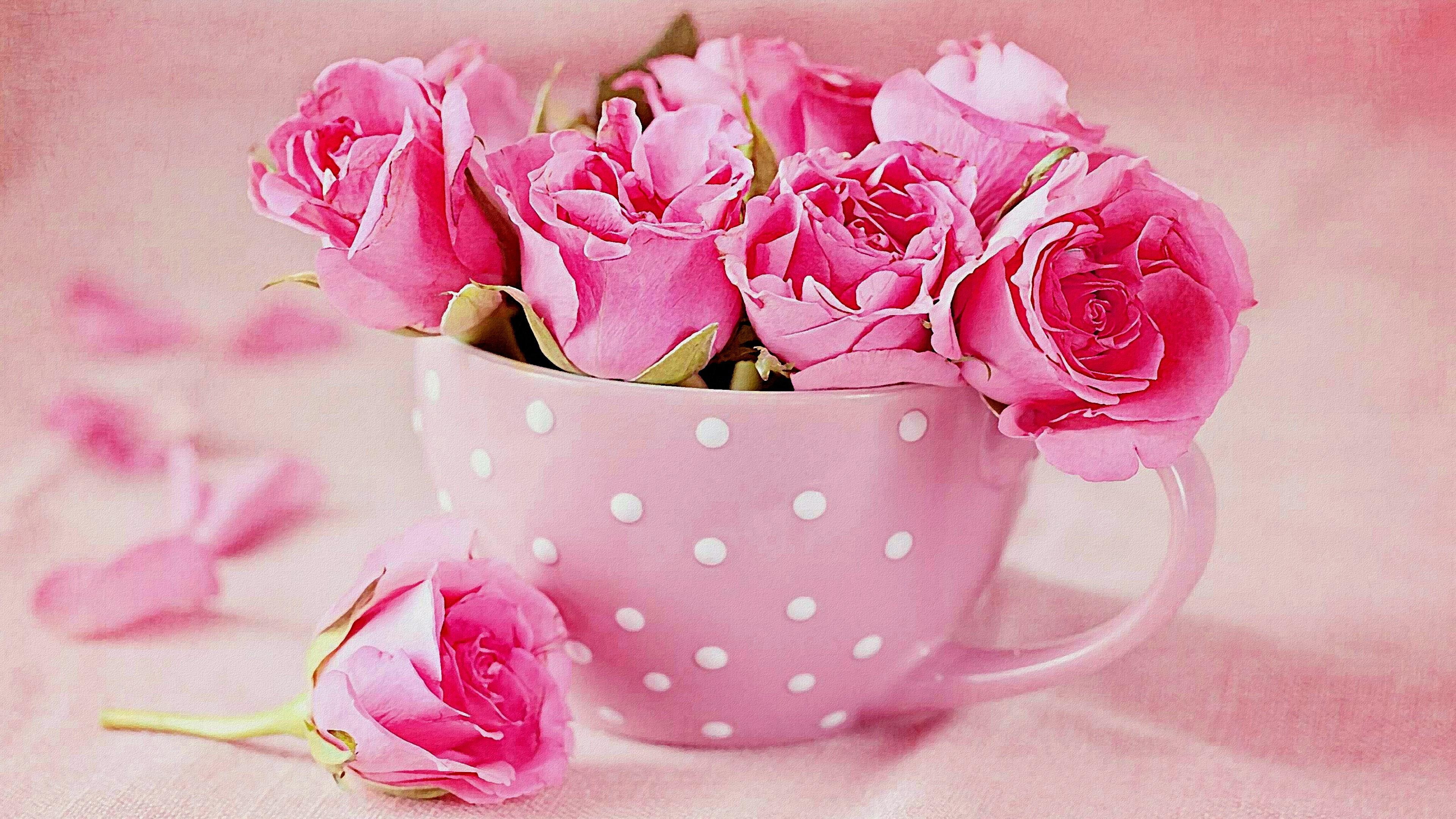 romantic, good morning, roses, cup