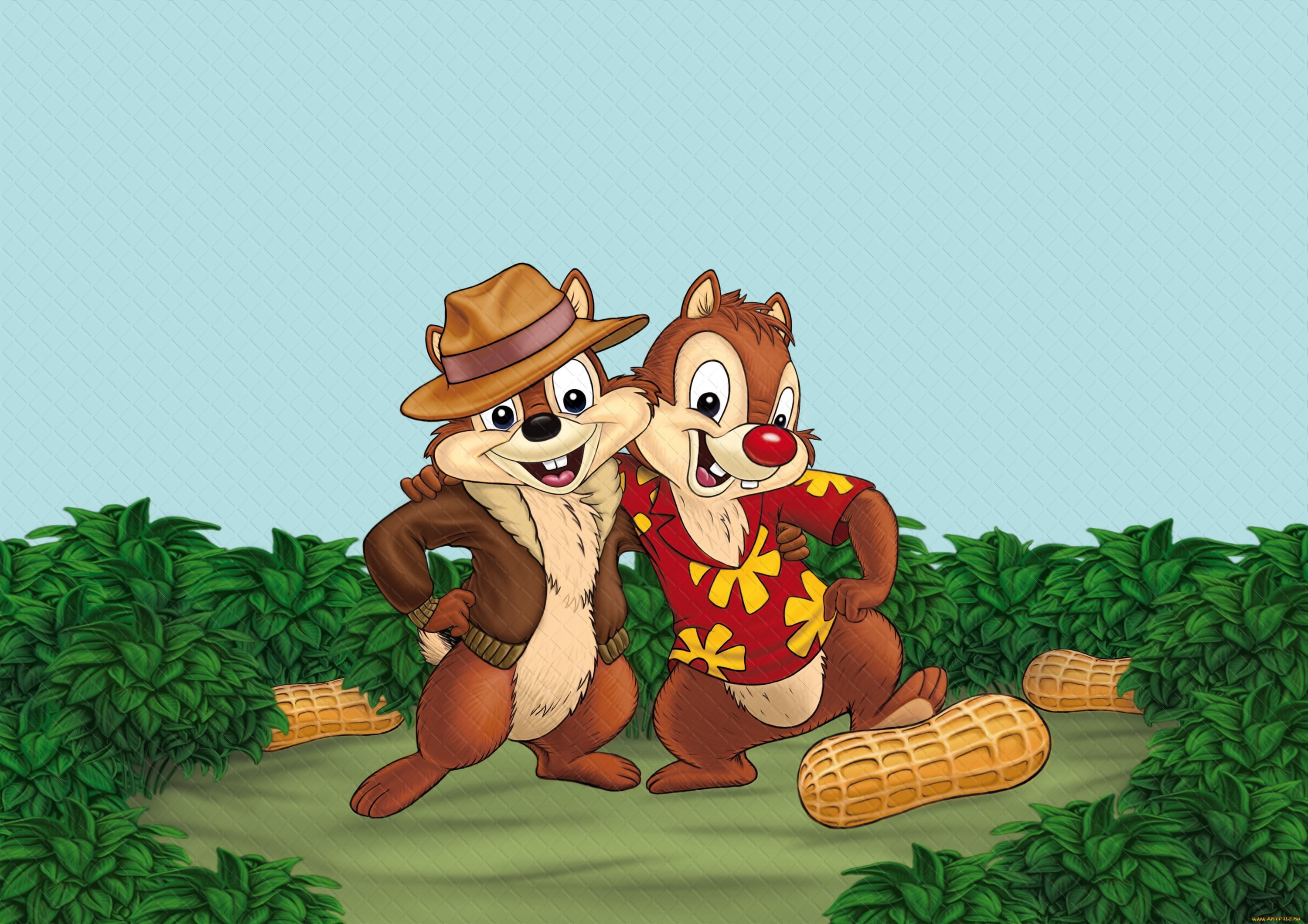 two chipmunks illustration, cartoon, disney, Chip and Dale, animal