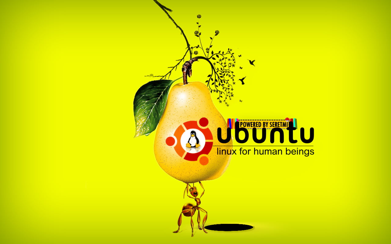 Ubuntu Fruit, Ubuntu advertisement poster, Computers, Linux, linux ubuntu