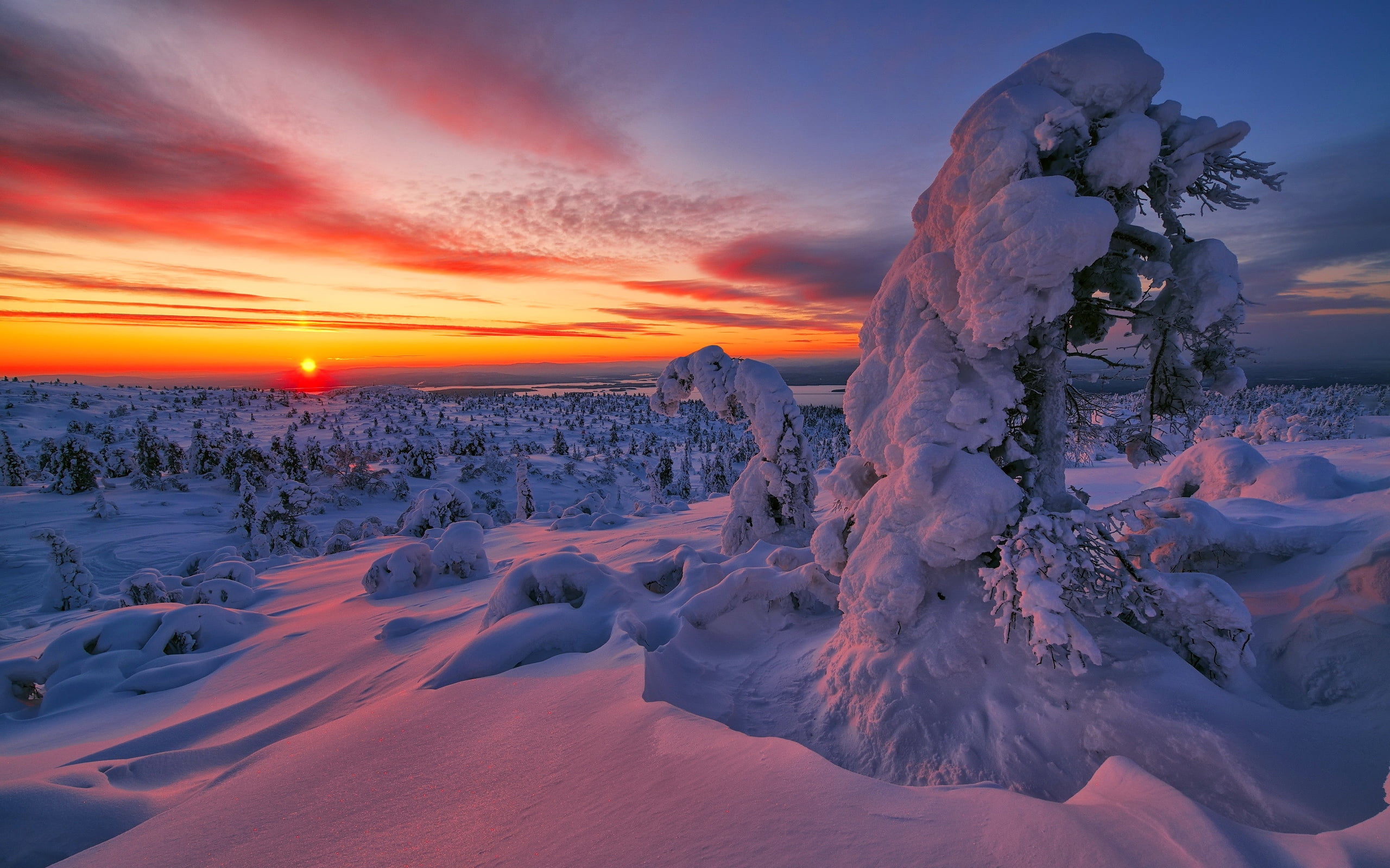 winter, sunset, landscape, snow