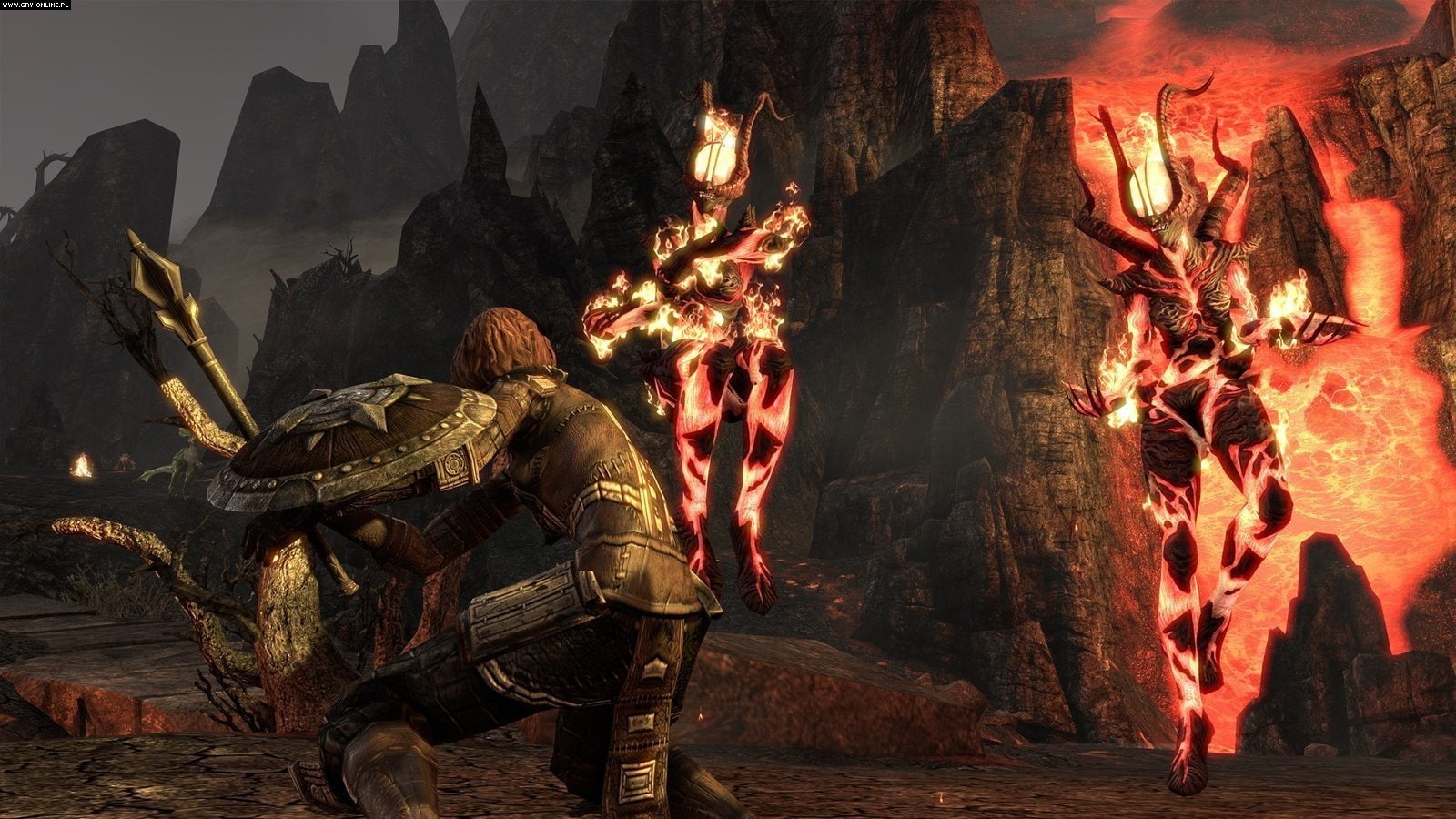 The Elder Scrolls, The Elder Scrolls Online