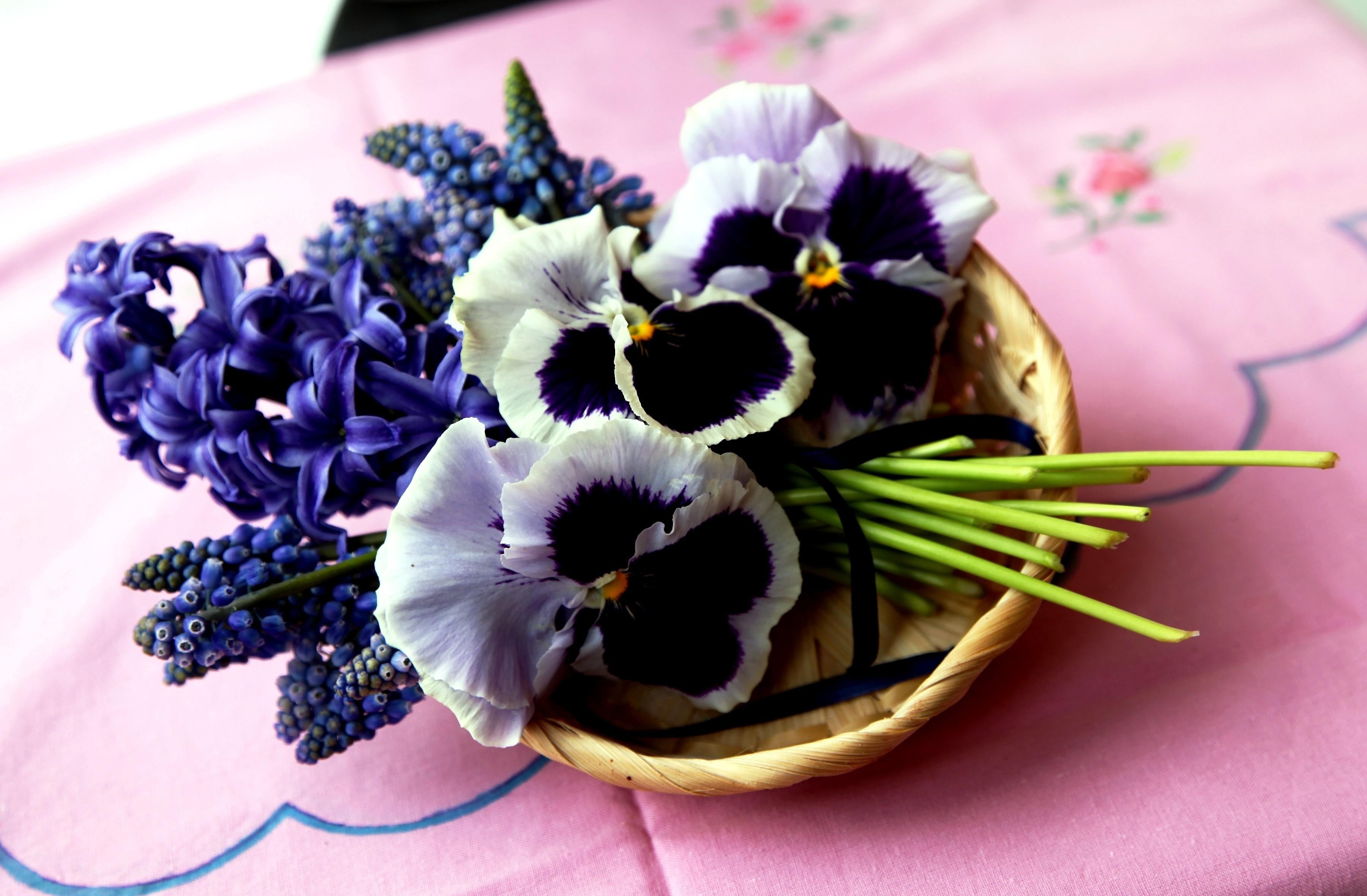white-and-black flowers, hyacinth, muscari, pansies, bouquet