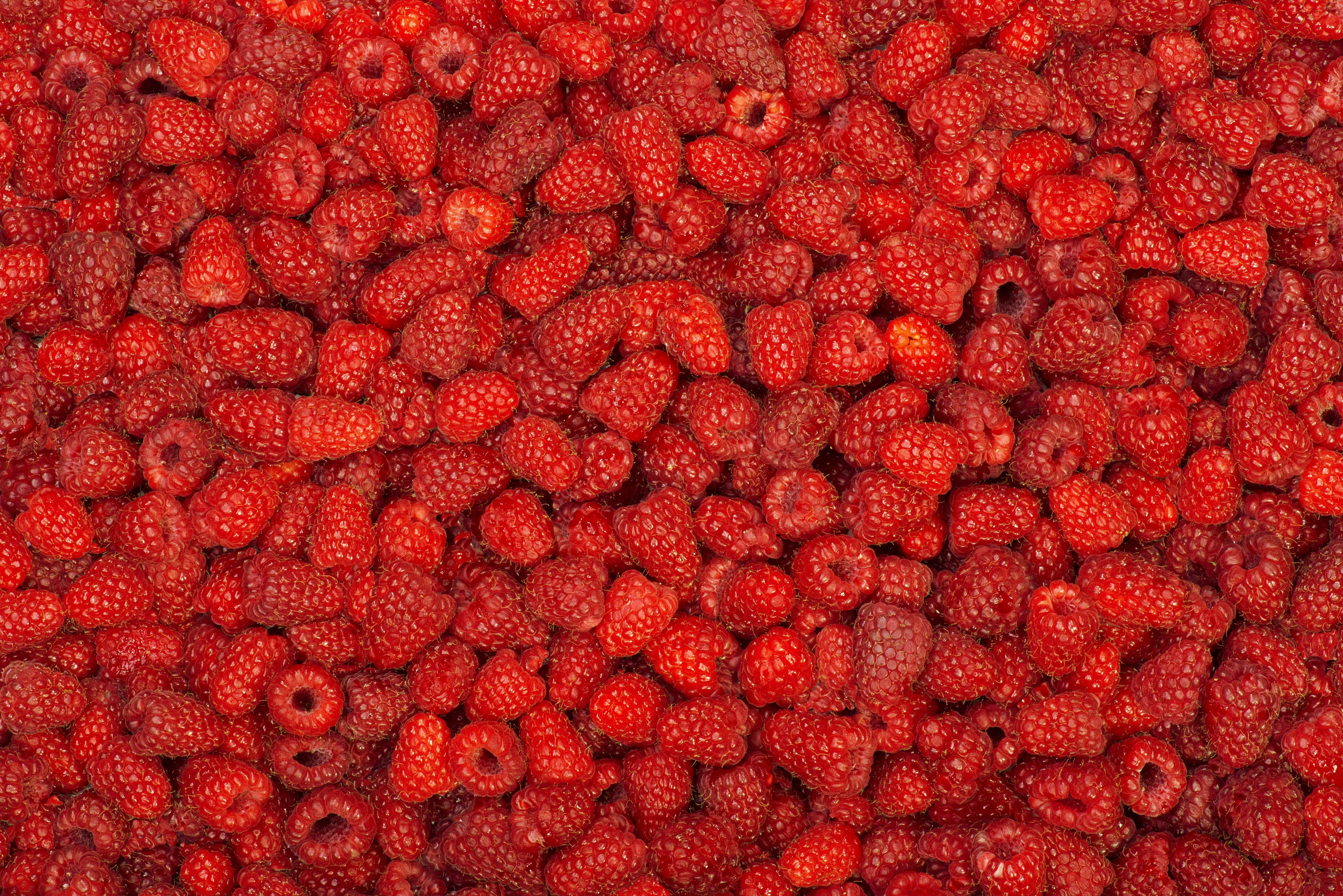 raspberry