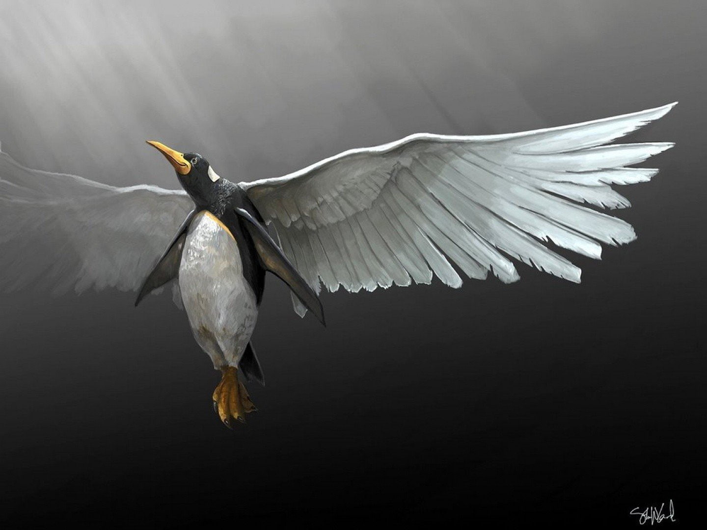 GNU, Linux