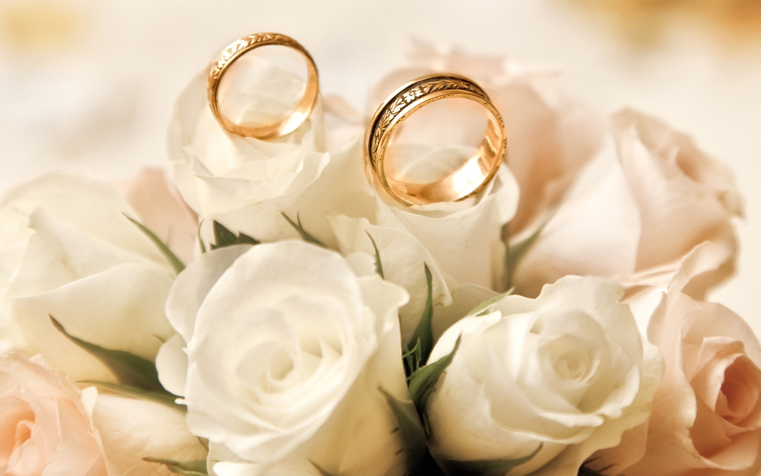Engagement rings, roses, white flower buds, gold wedding band; white roses