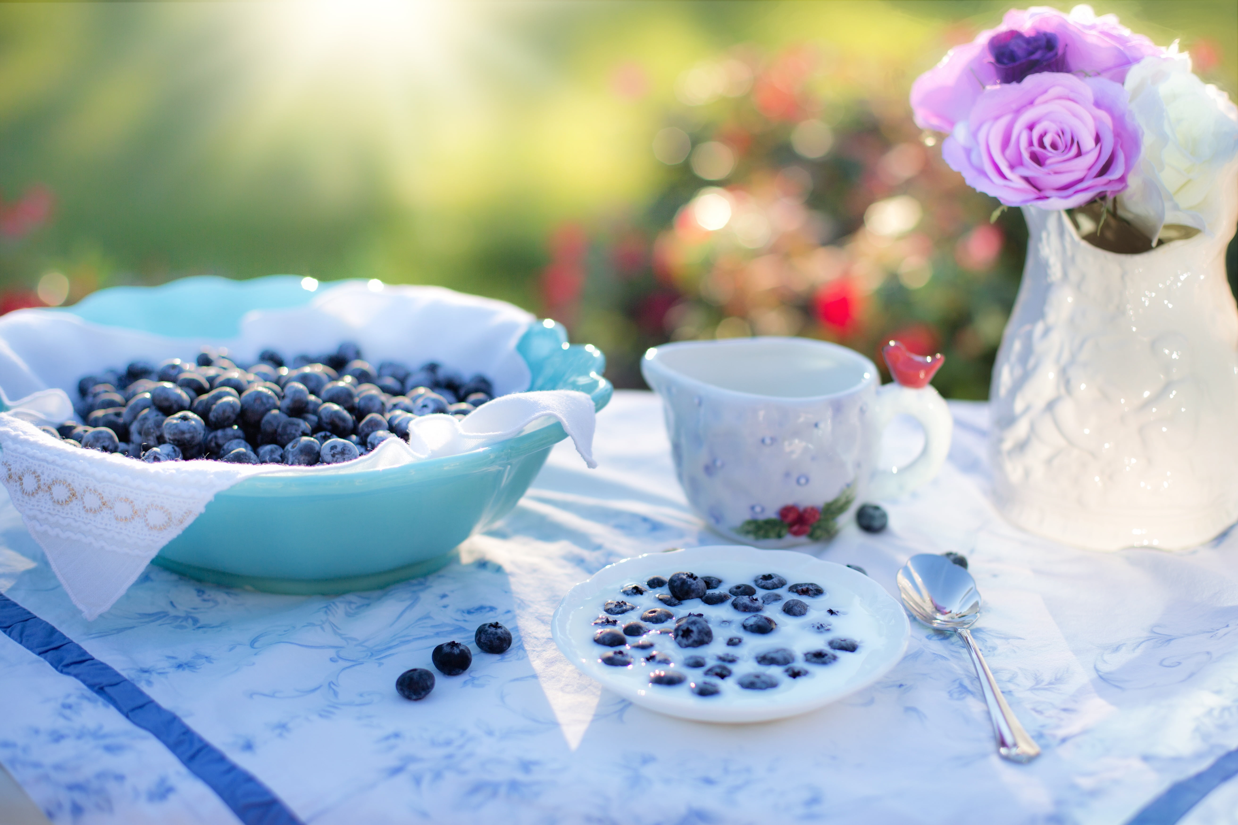blueberries, milk, crockery, food, blueberry, breakfast, freshness