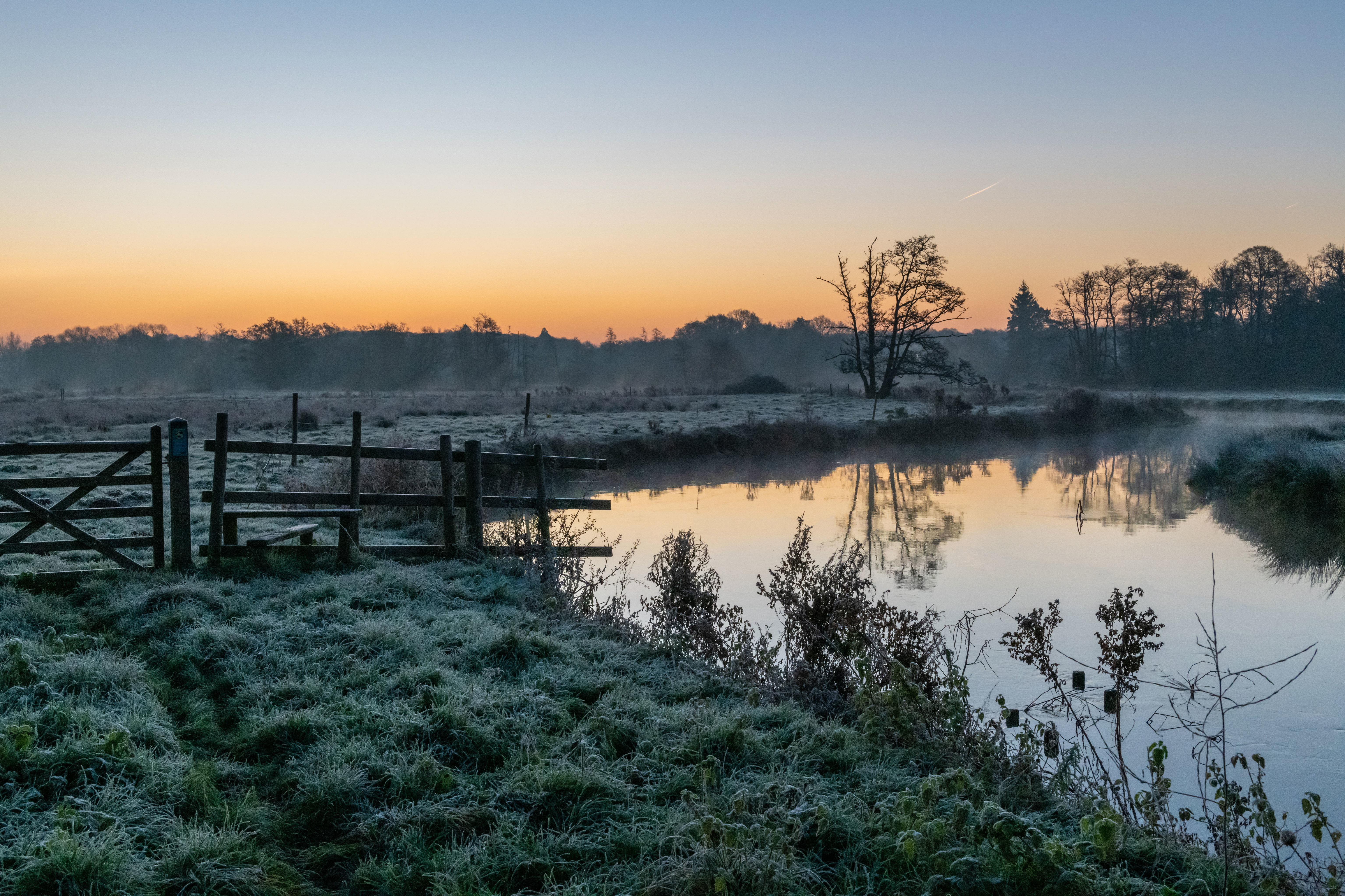 England, field, winter, Surrey, morning, Thundry Meadows