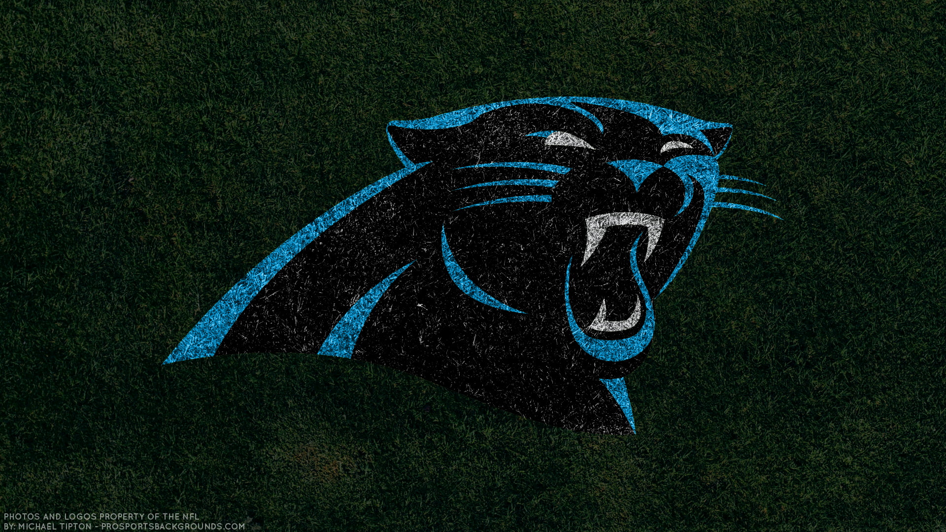 Football, Carolina Panthers, Emblem, Logo, NFL