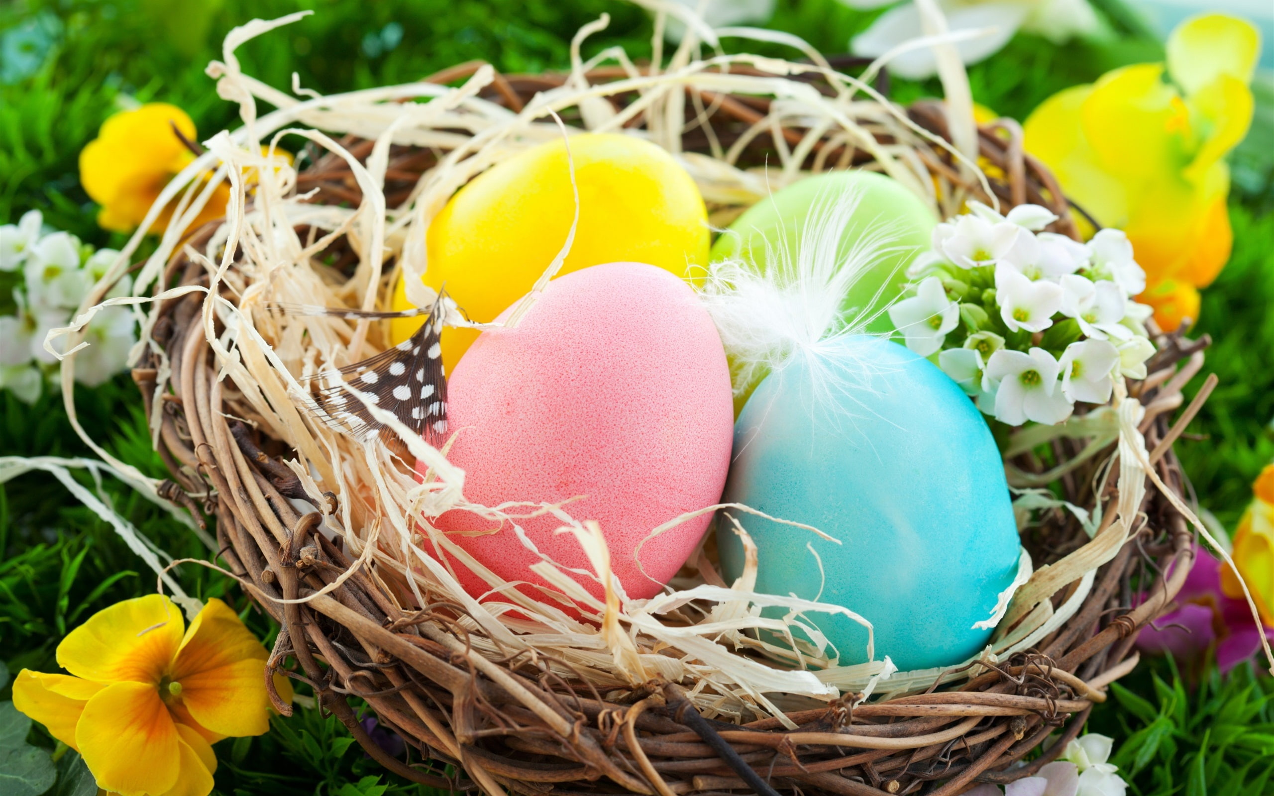 Easter Eggs, colorful, nest, flowers, spring