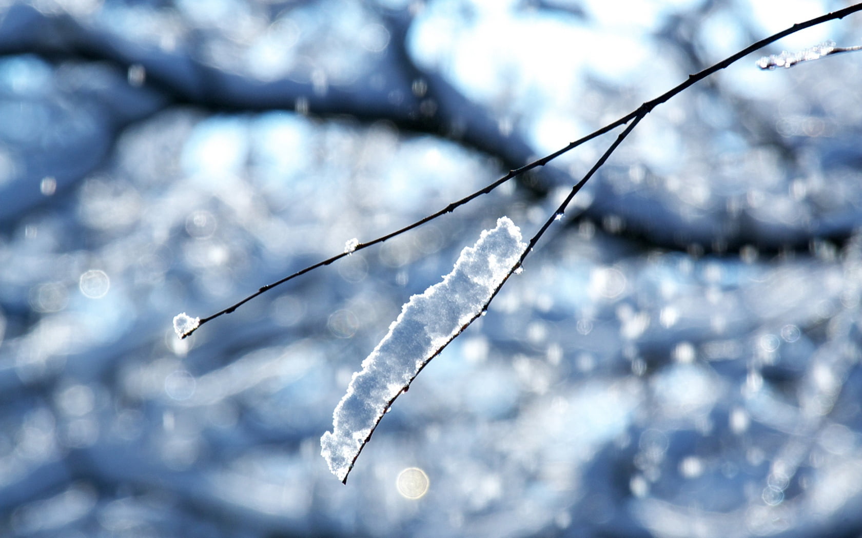 Free download | HD wallpaper: brown tree branch, winter, snow, glare ...