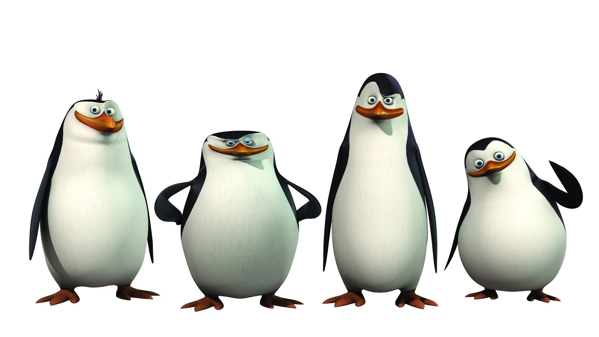 Penguins of Madagascar, movies, animated movies, animals, bird
