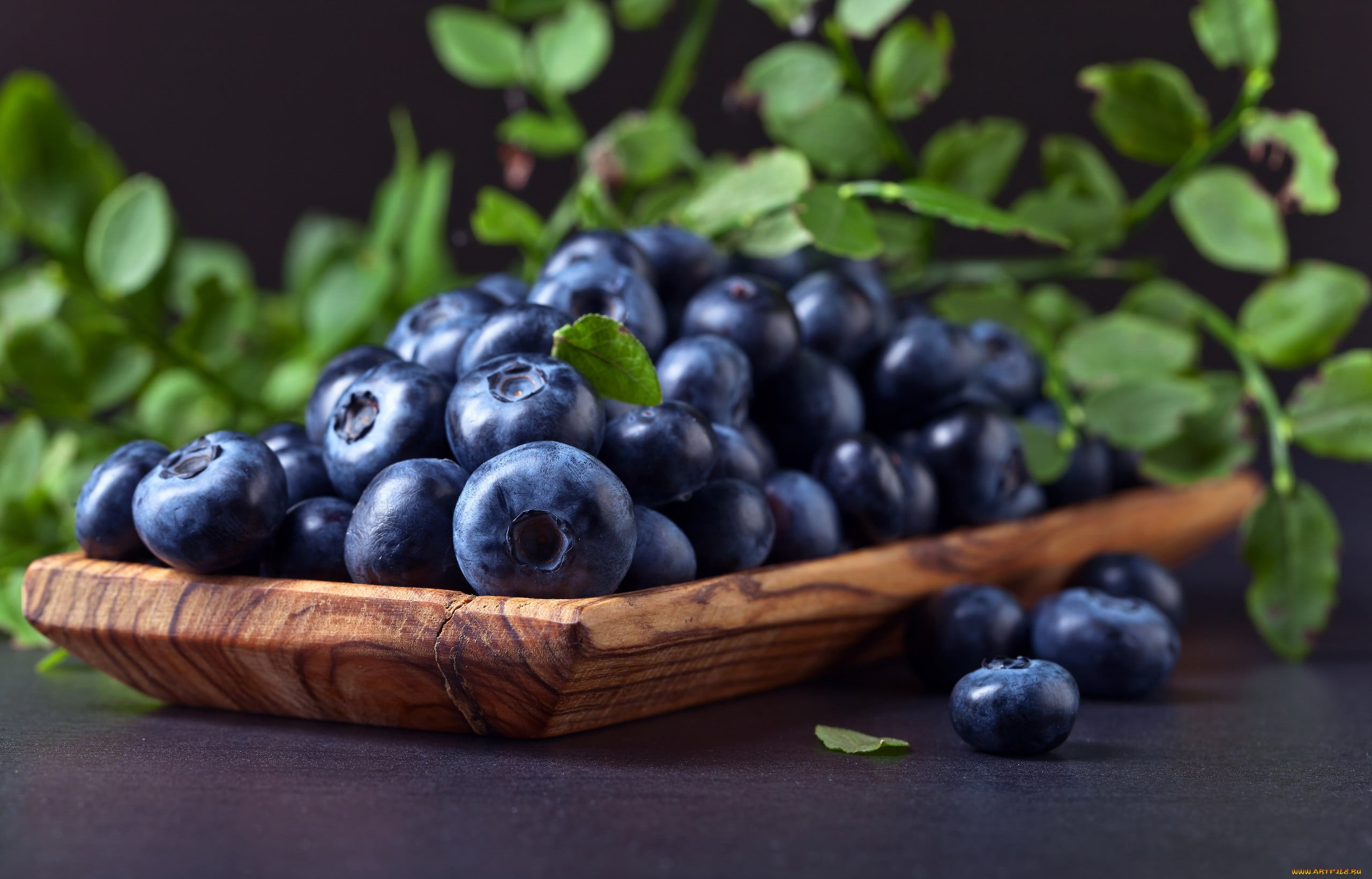 blue, green, berries, food, blackberries, macro, healthy eating