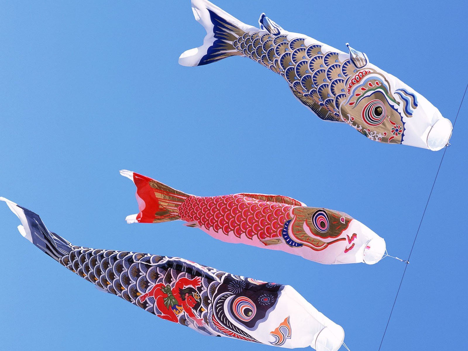 children, japan, japanese, koinobori, toys, traditions, views