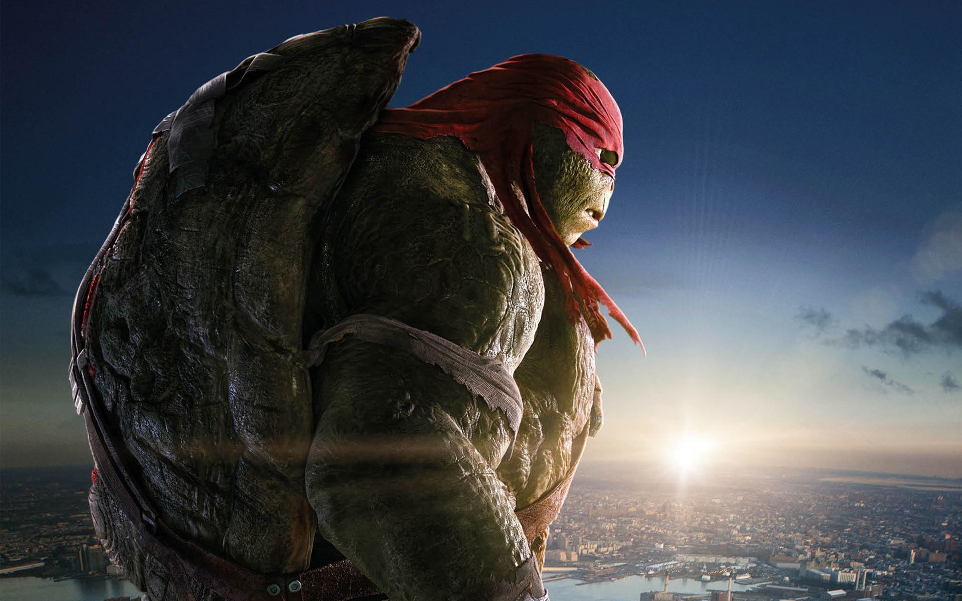 Raphael in Teenage Mutant Ninja Turtles