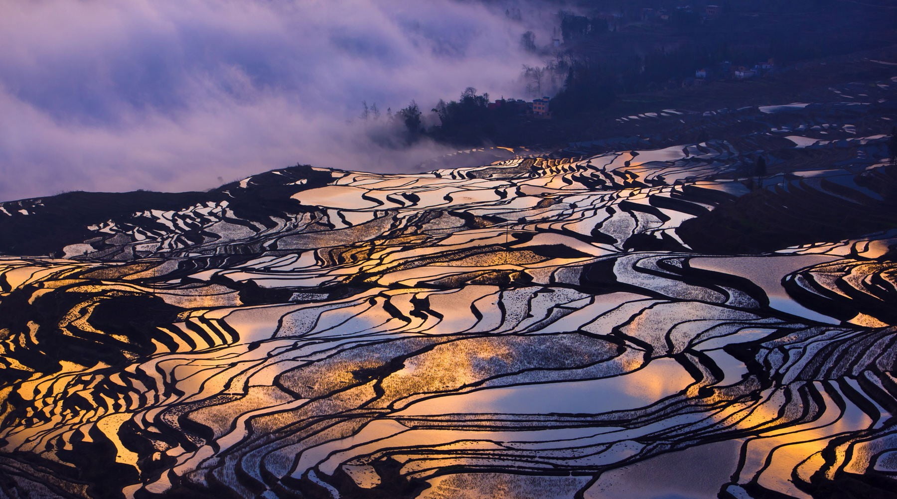 blue and white floral textile, terraced field, rice paddy, environment