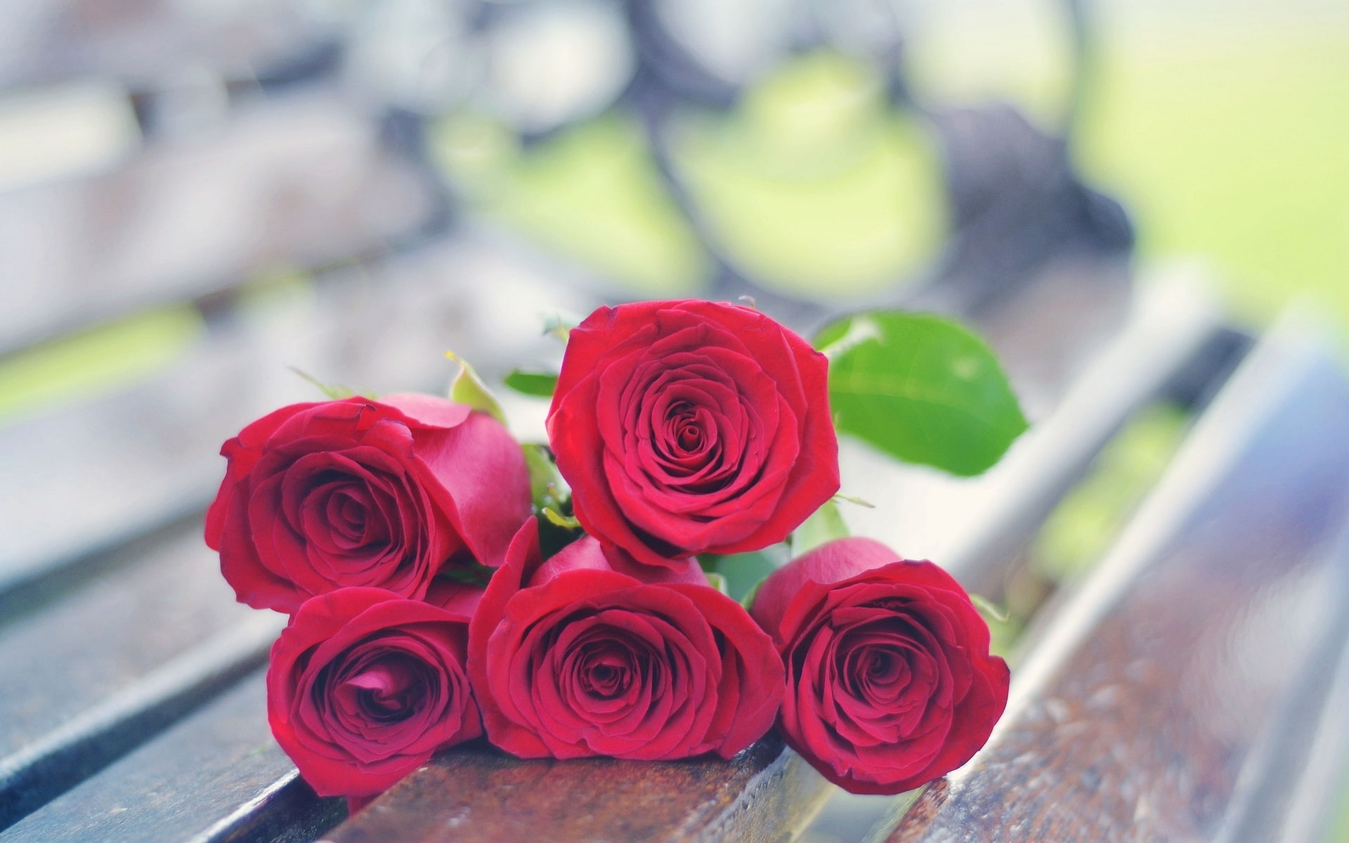 flowers, red, background, widescreen, rose, roses, full screen