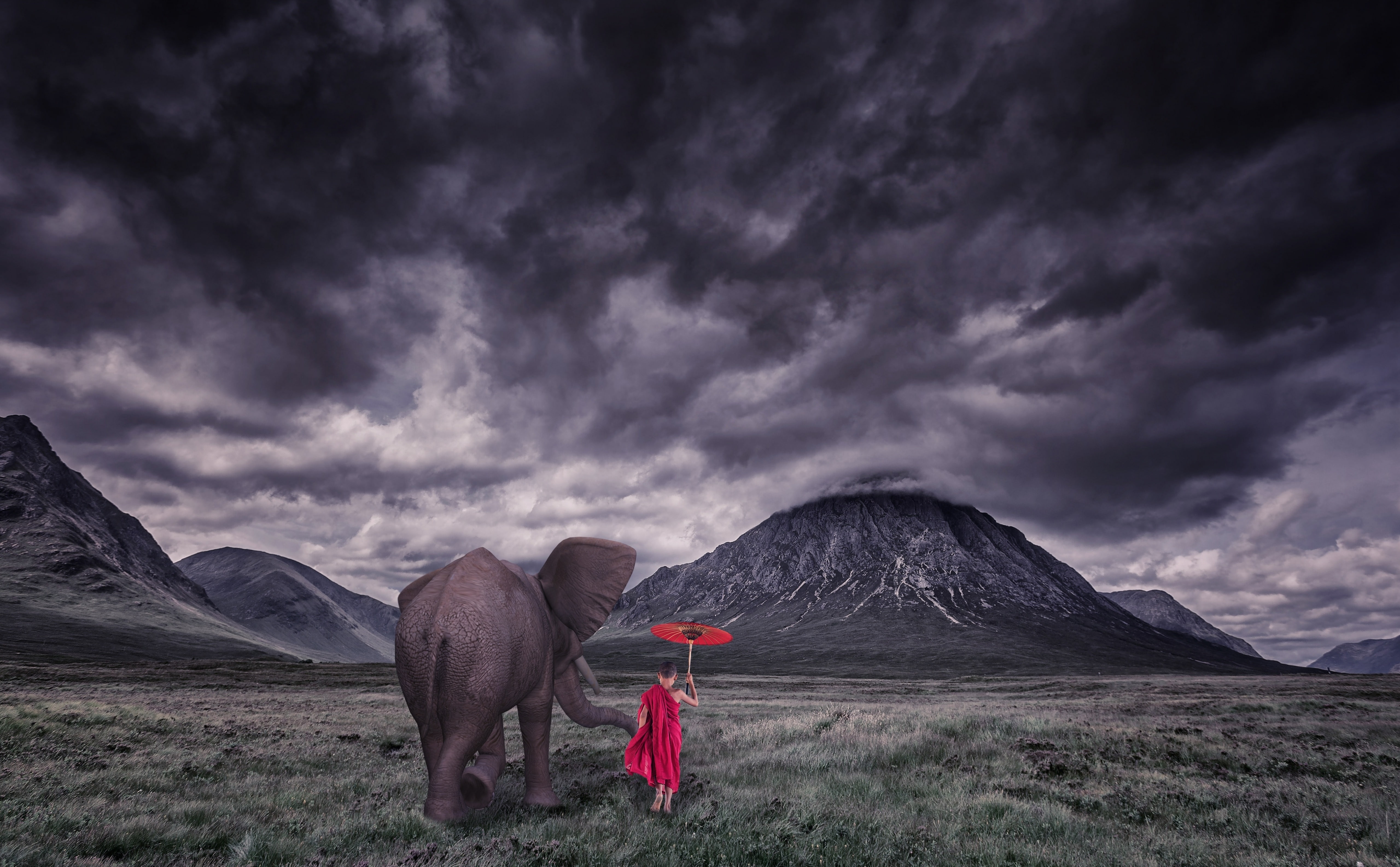 Elephant, Child Monk, Field, Storm Clouds, Aero, Creative, Wild