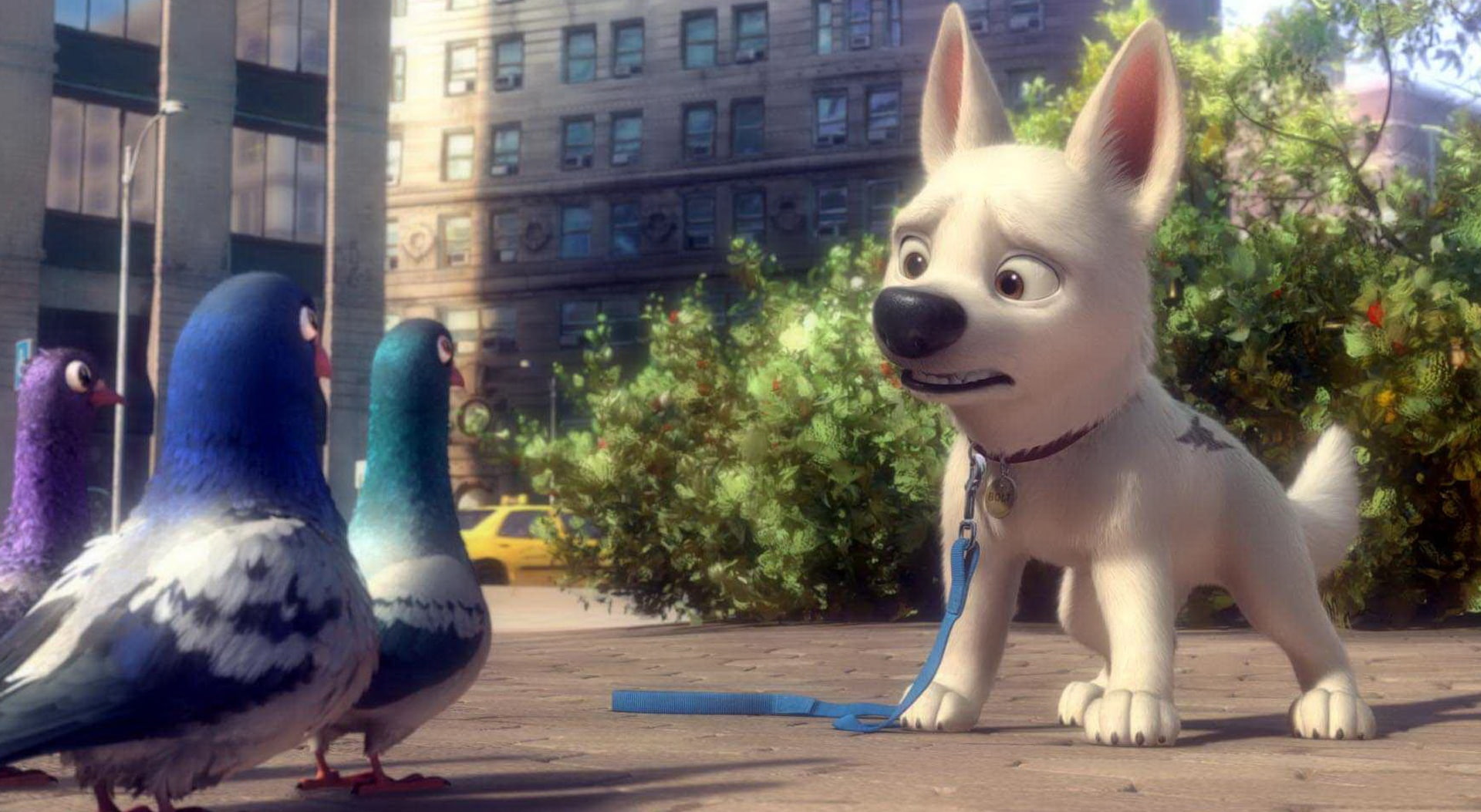 Bolt And Pigeons, Disney Bolt movie still, Cartoons, animal, animal themes