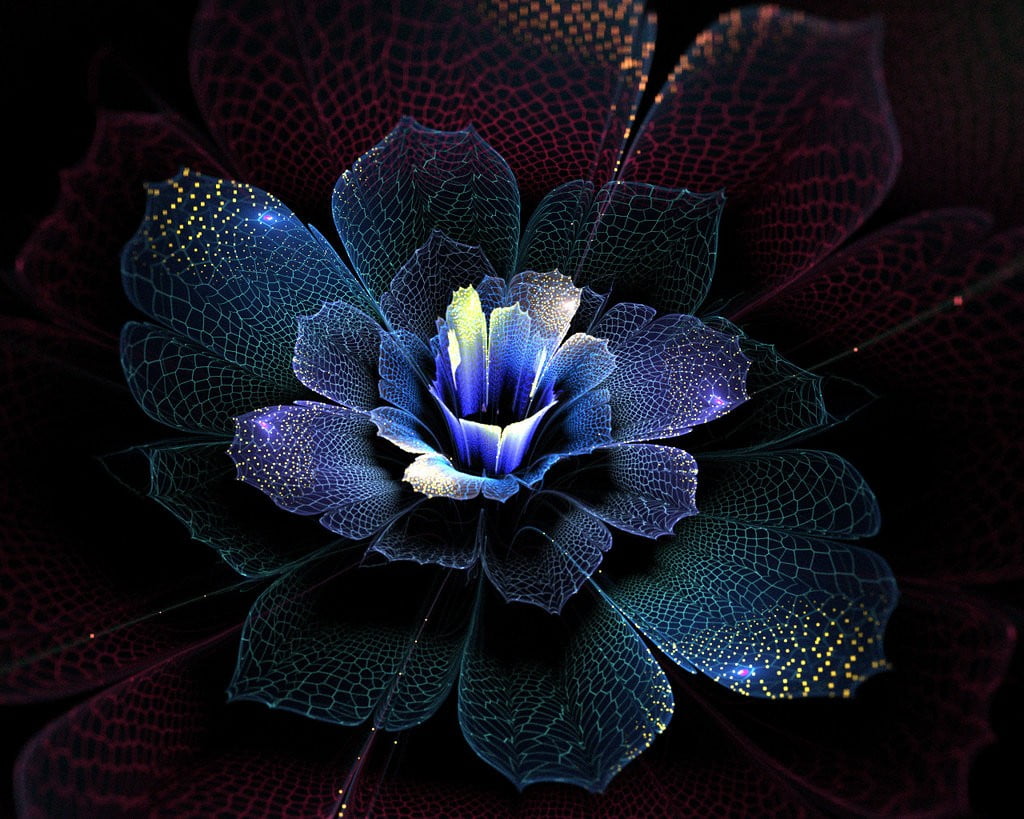 blue and maroon flower illustration, abstract, fractal, fractal flowers