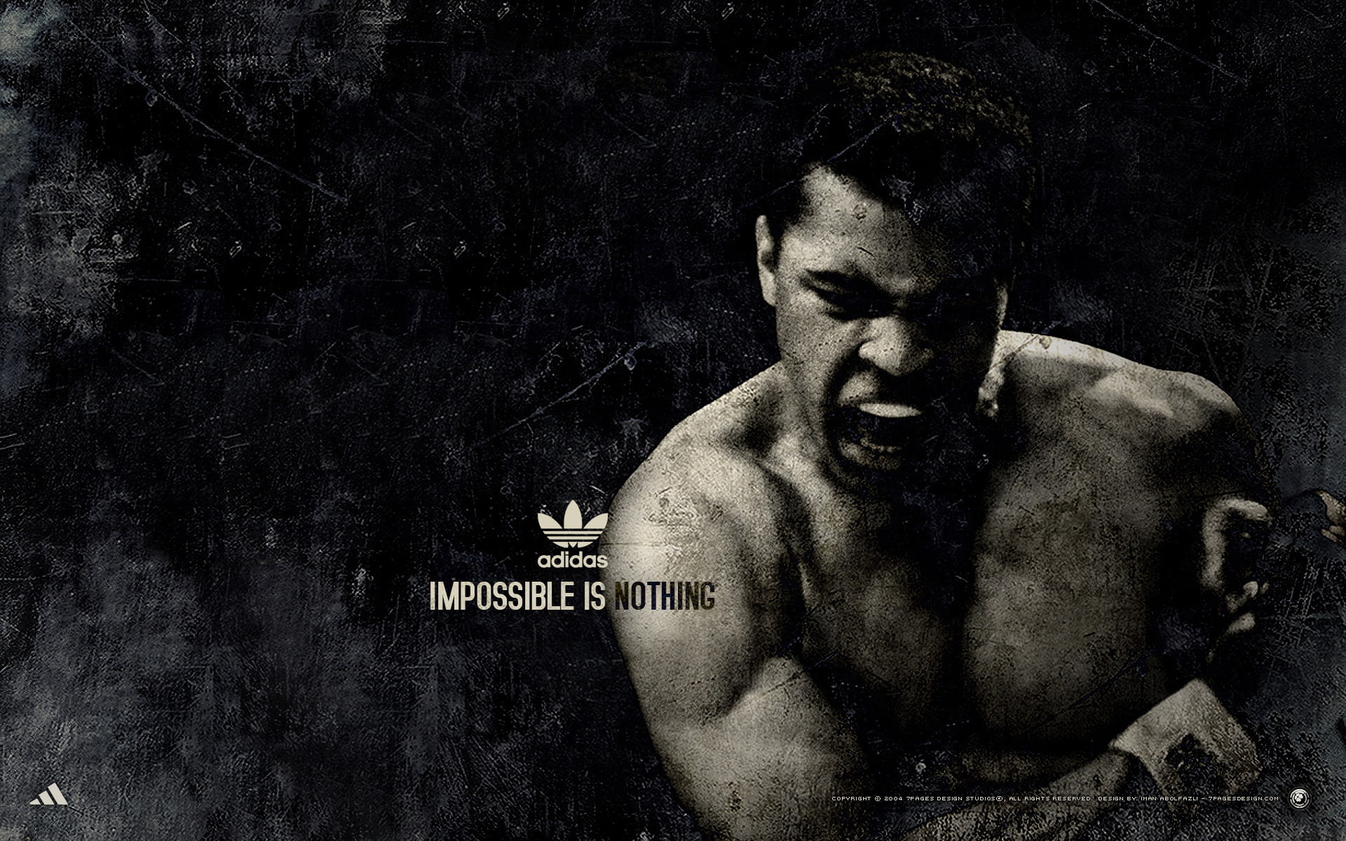 Muhammad Ali, Boxer, Sports