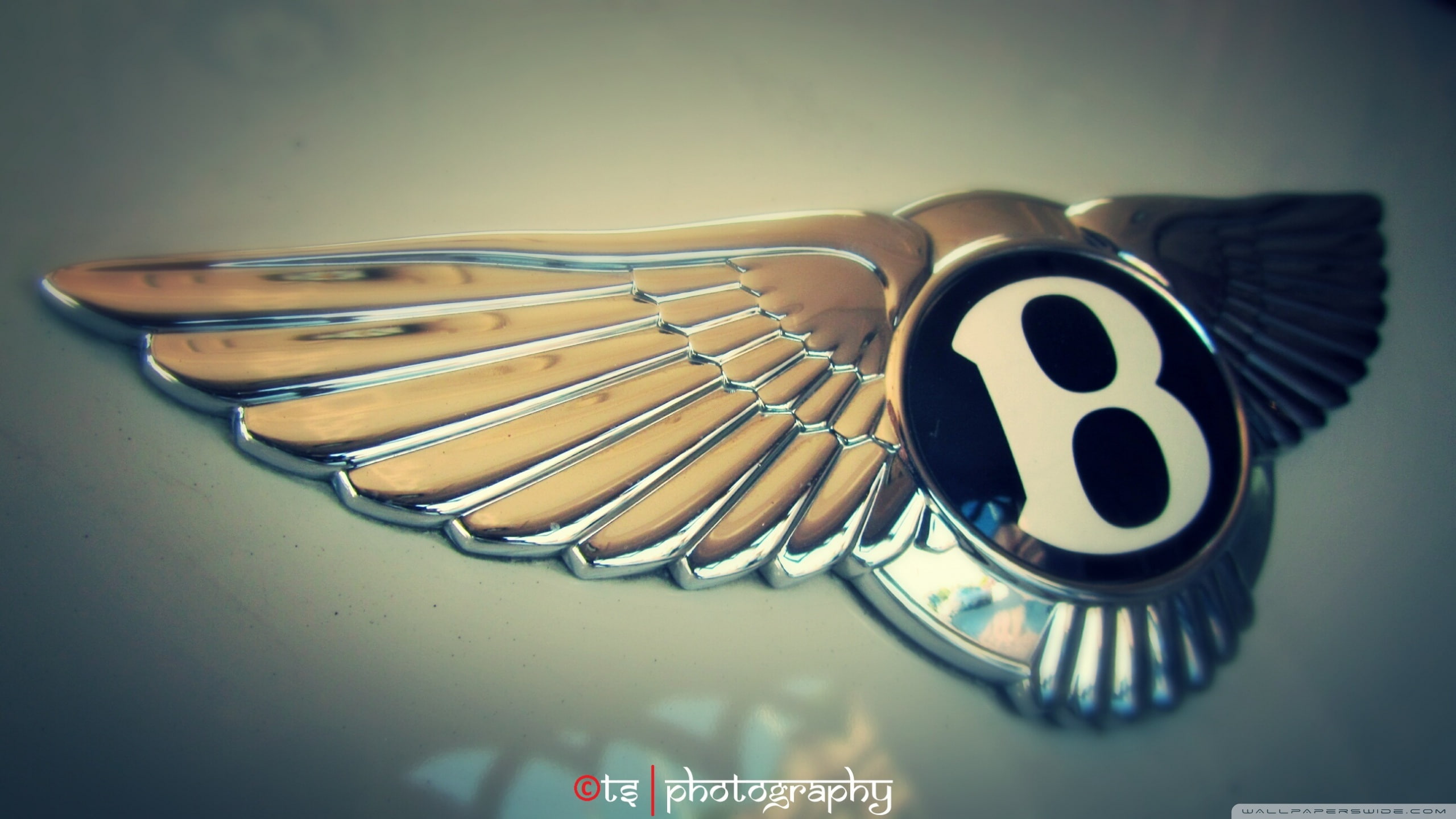 bentley, wallpaper