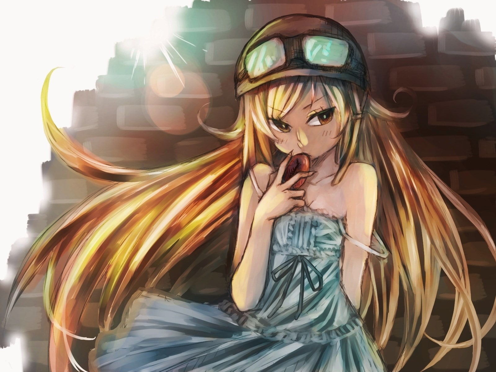 monogatari series