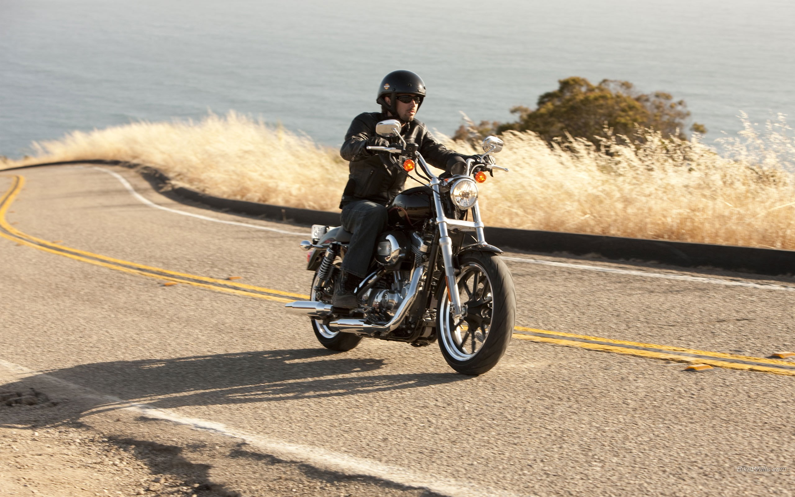harley davidson