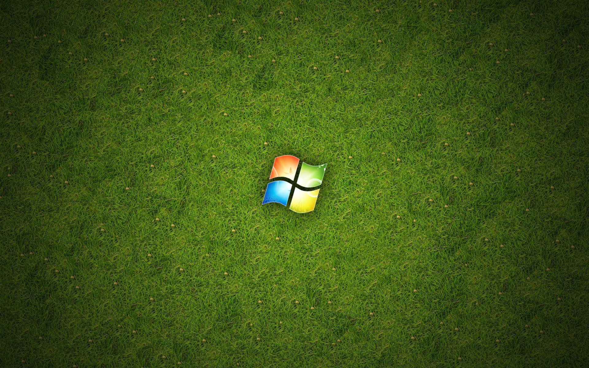 grass, logo, Microsoft Windows, technology