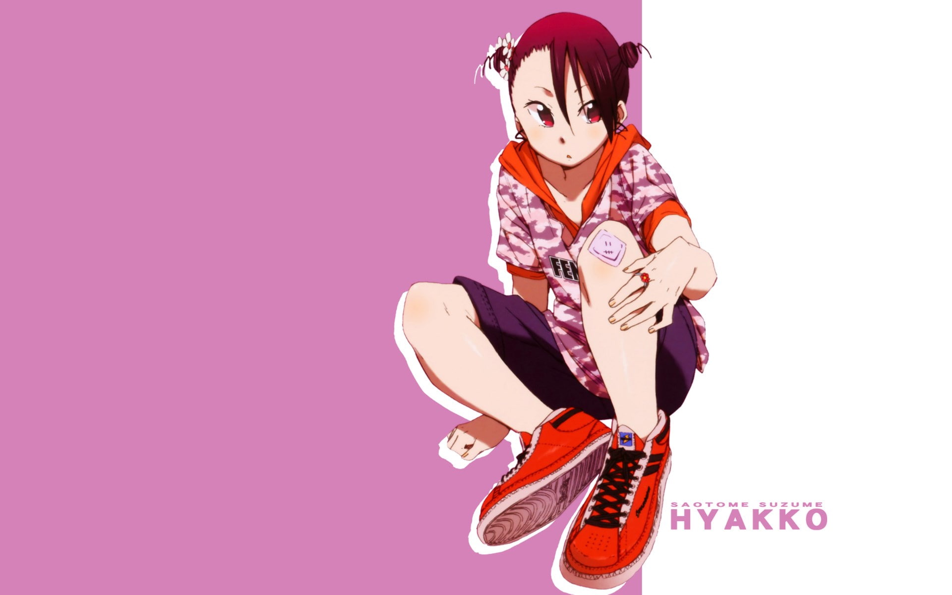 hyakko