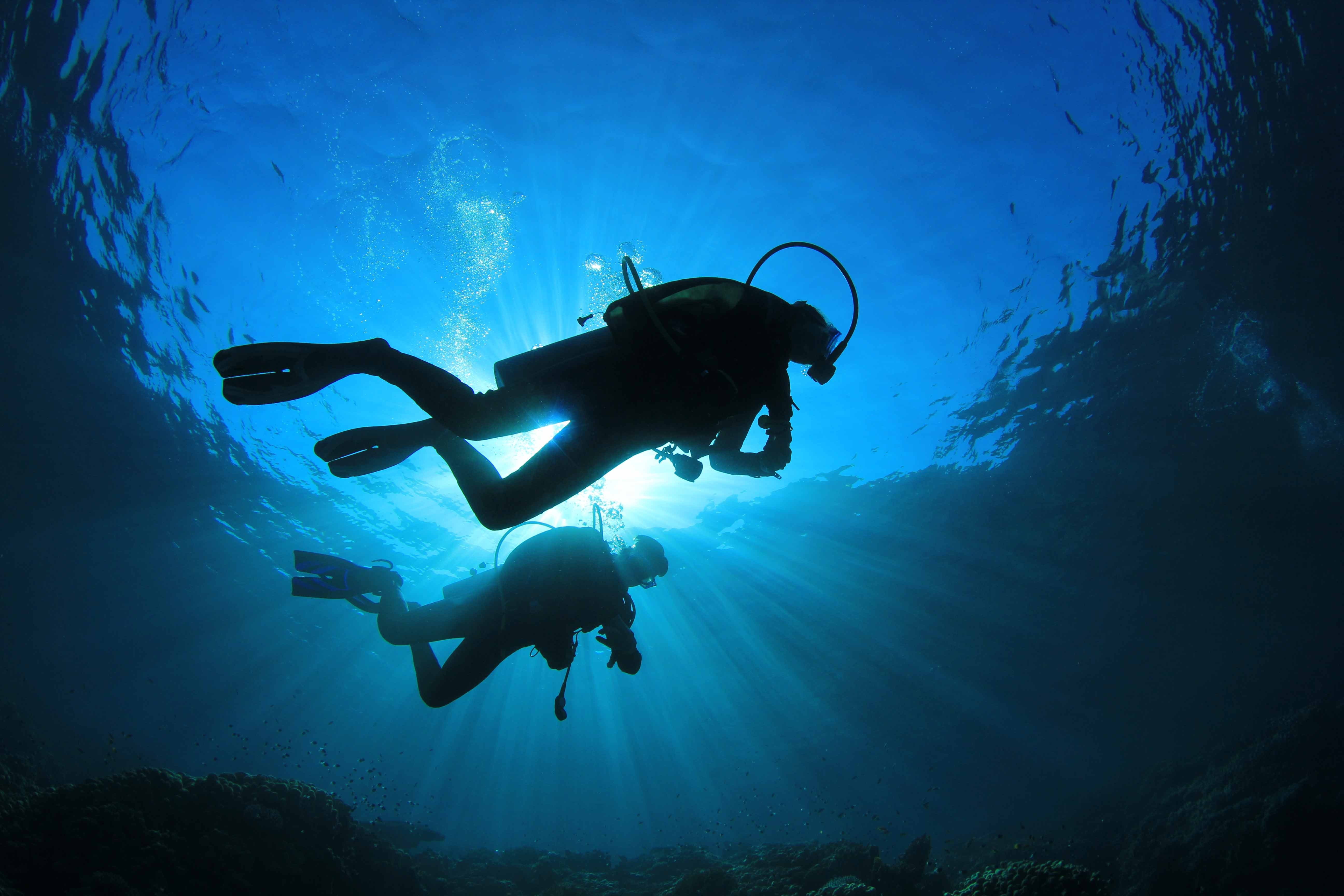 diving, underwater, scuba diving, adventure, aquatic sport