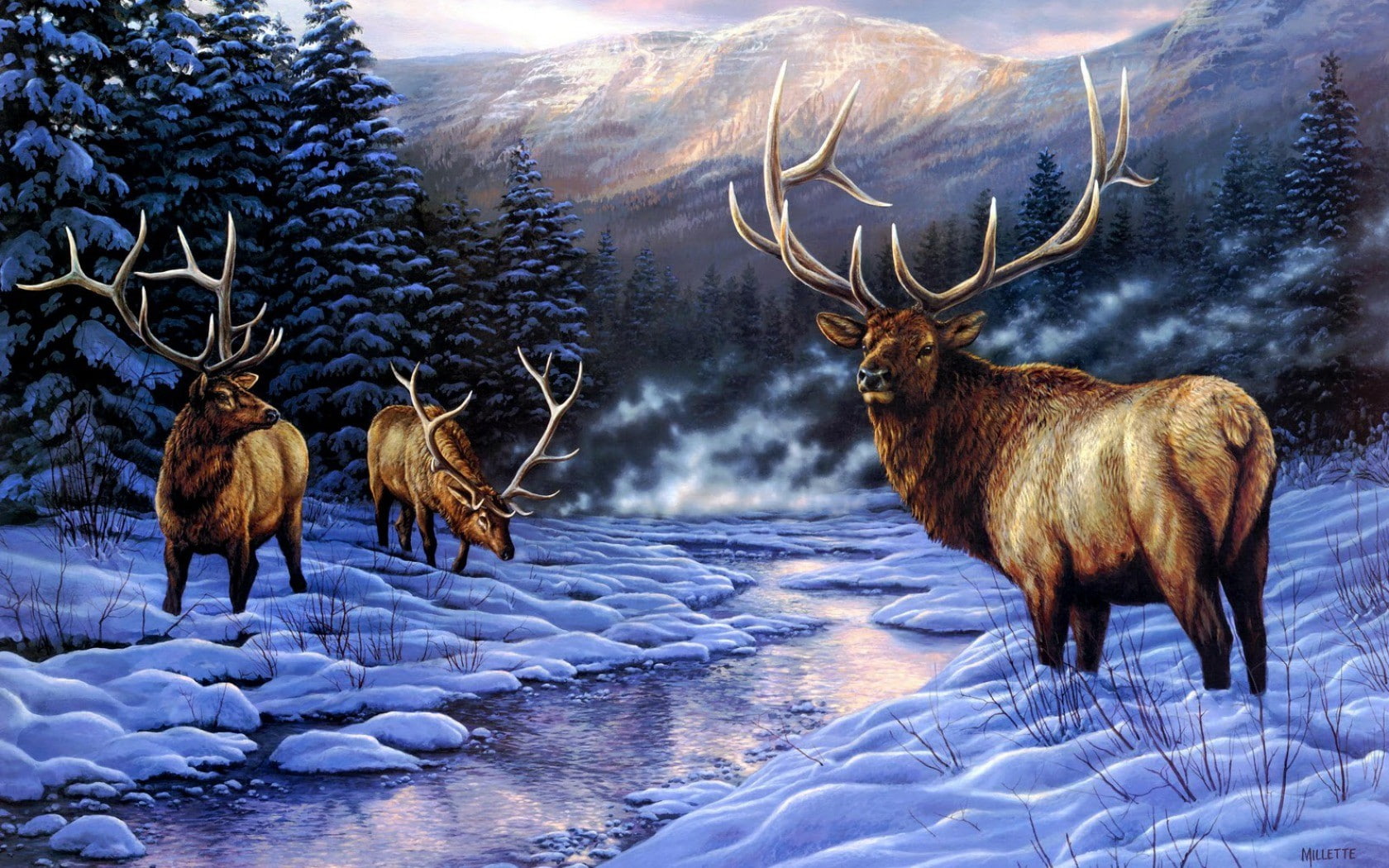 Elk