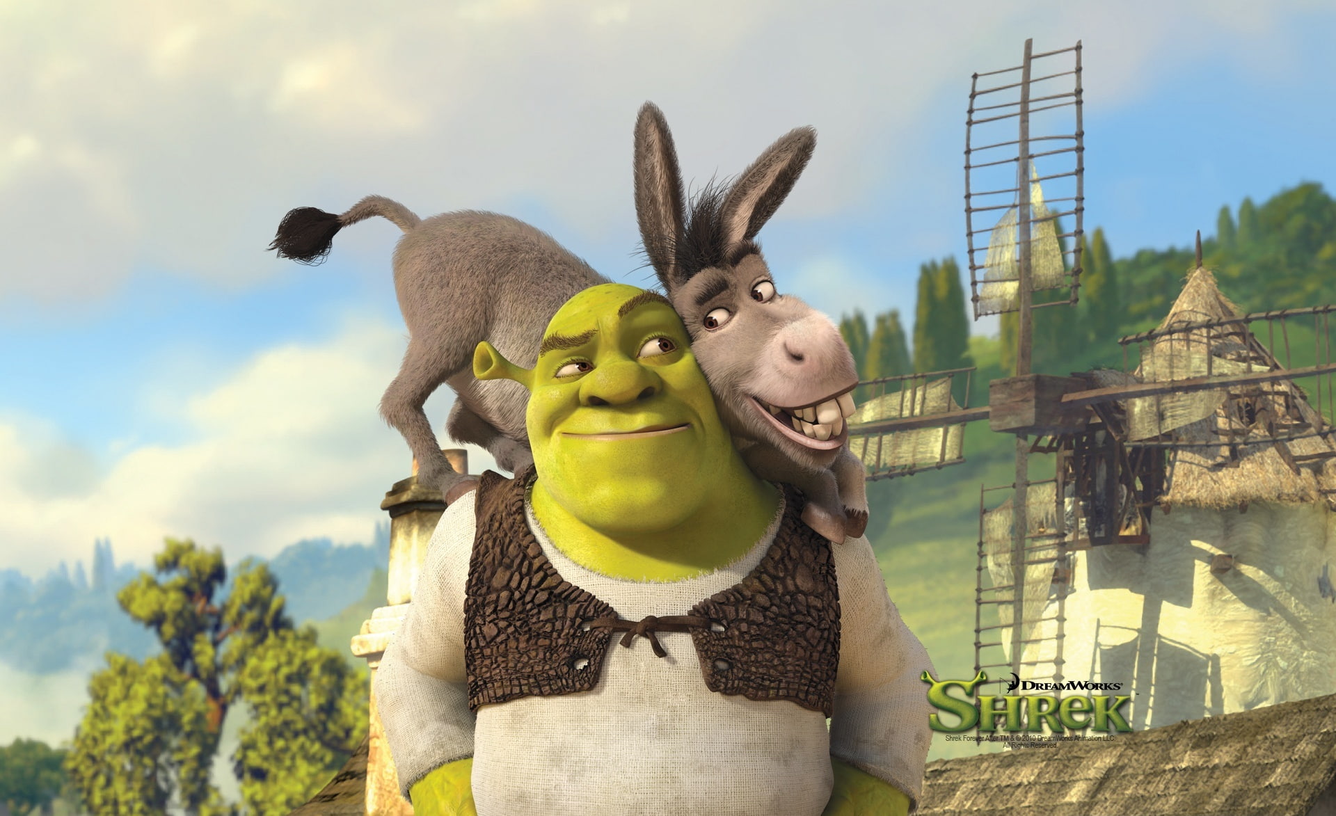 Shrek And Donkey, Shrek Forever After, Shrek, Cartoons, representation