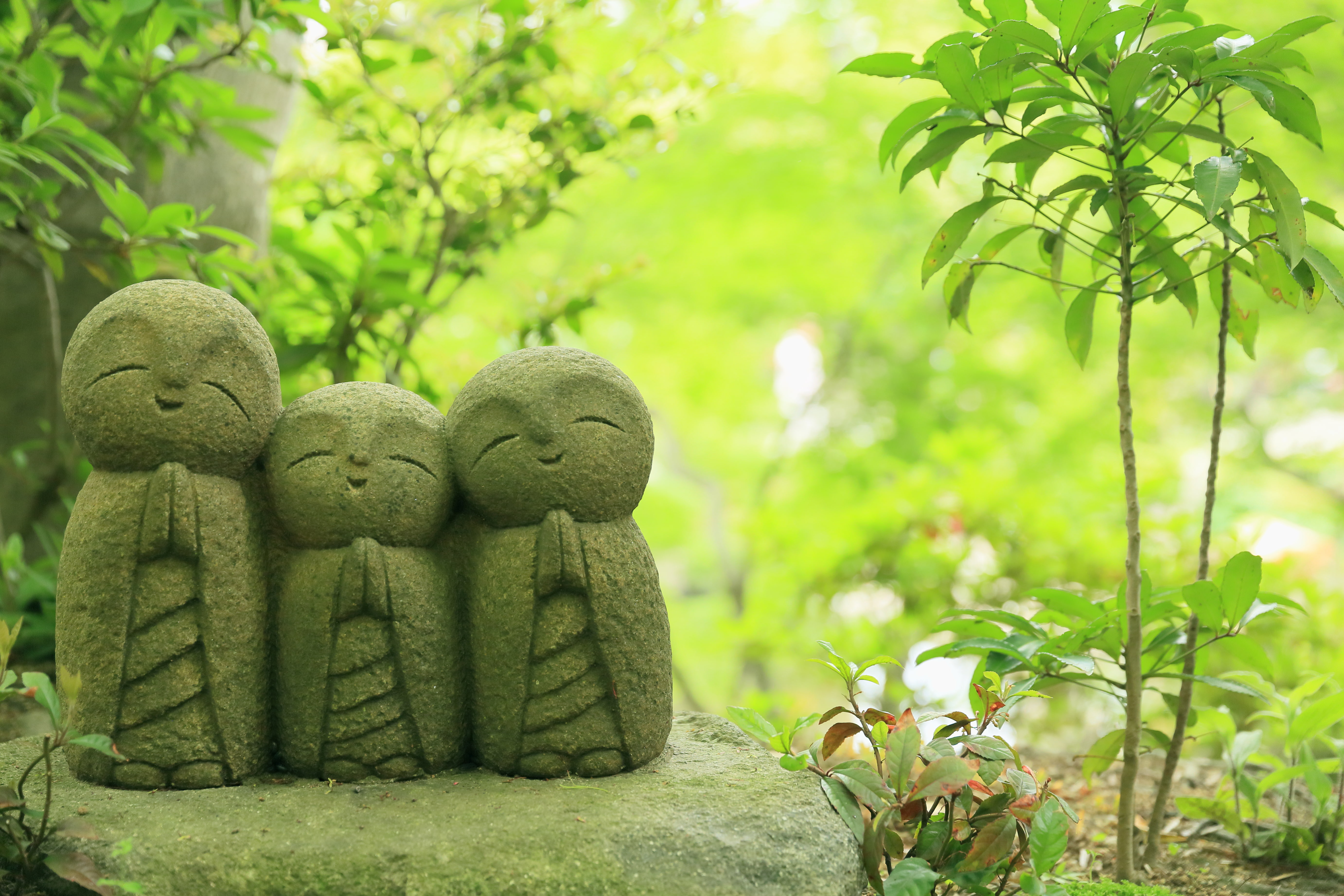 green plants, Japan, temple, statues, Jizo statues, Kamakura