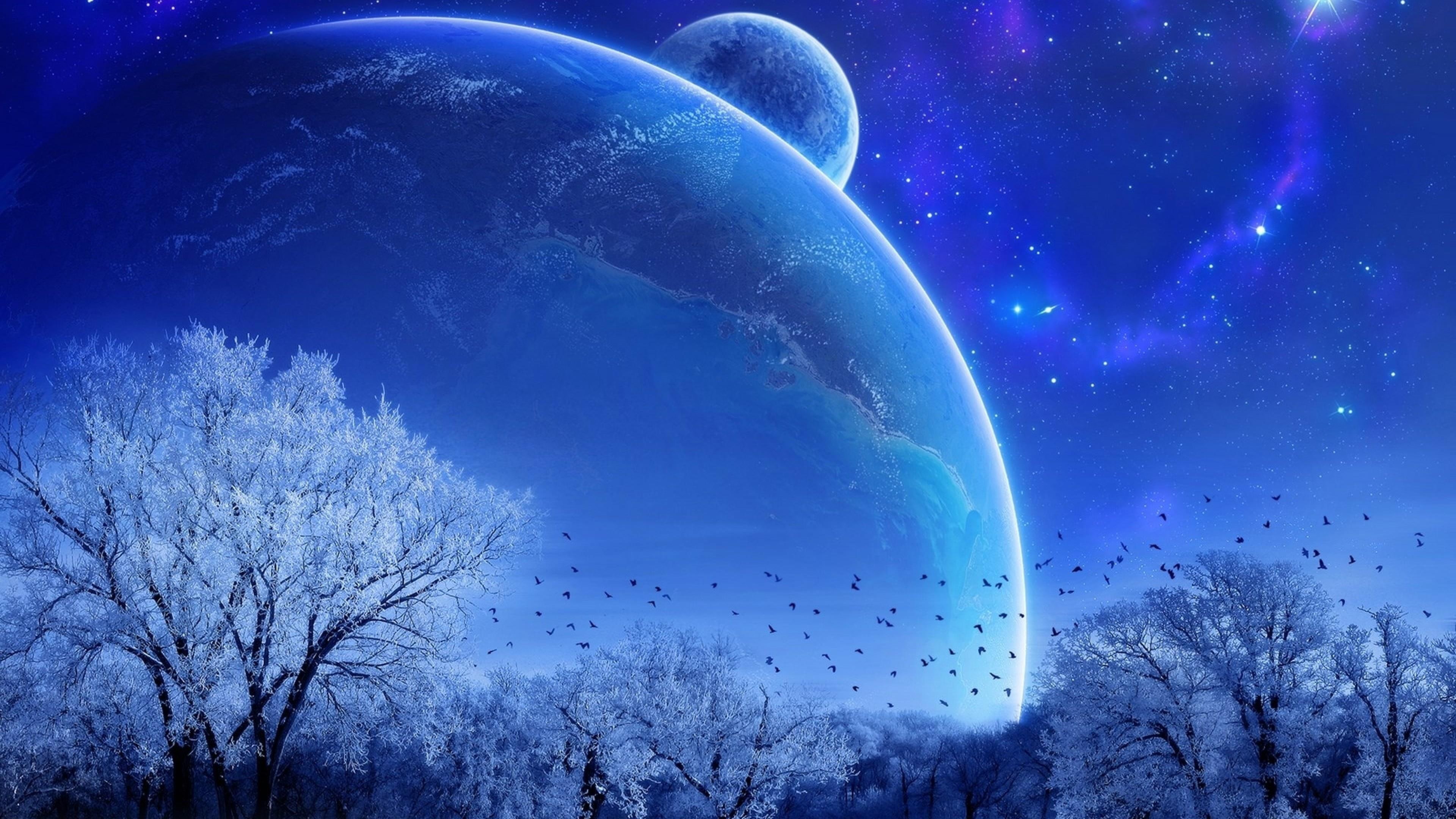 planets, sci-fi, snow, stars, birds, trees, cold, blue, starry