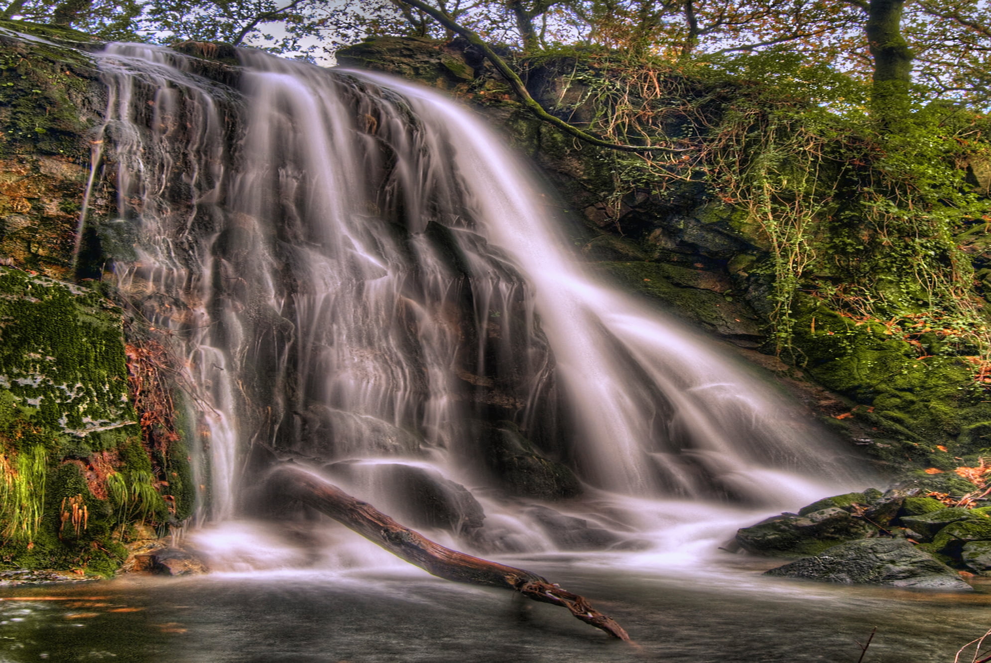 waterfalls surrounded by trees, Jump, Water  Forest, Hdr, Long Exposure