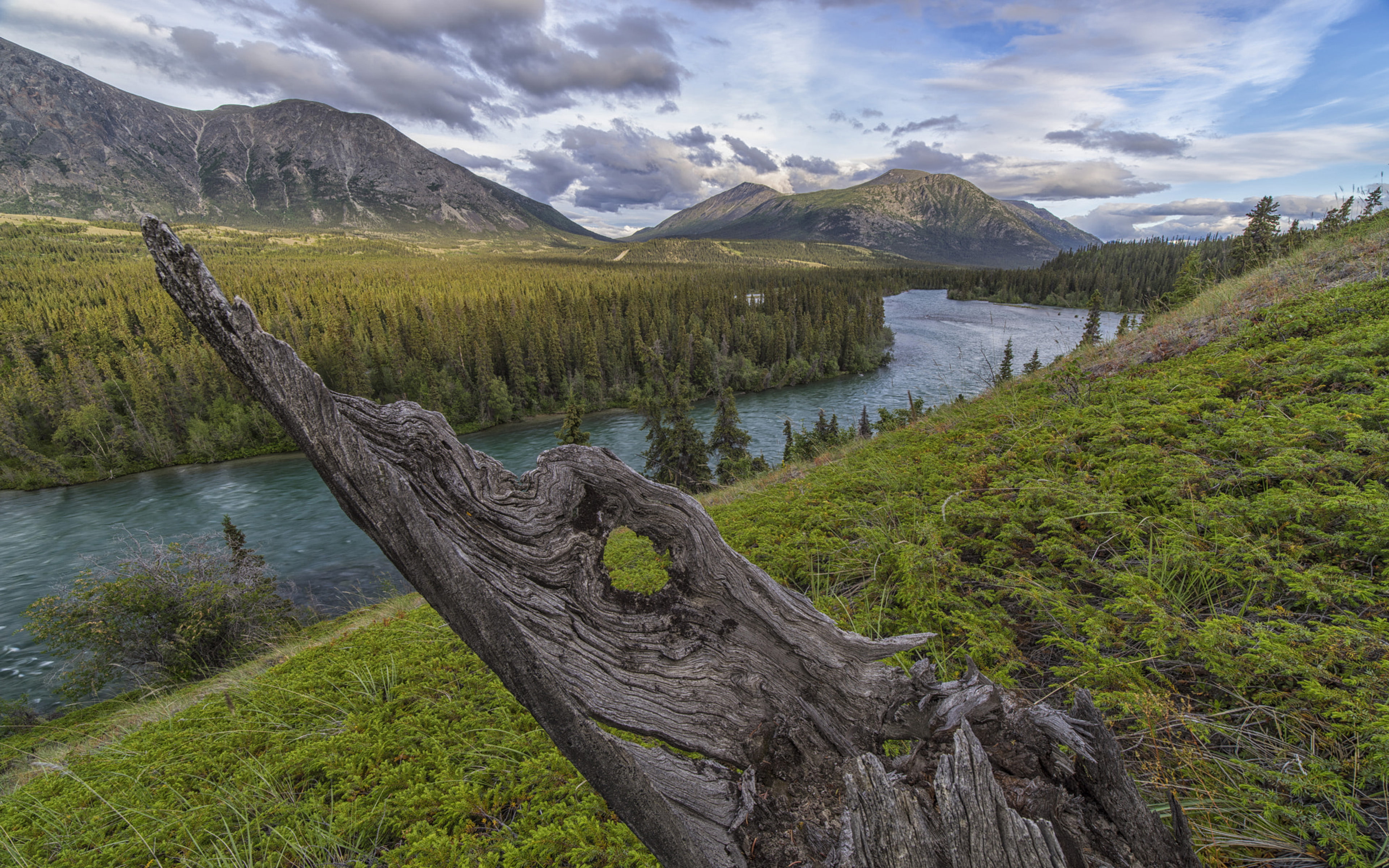 Takhini River Valley Yukon Territory Canada Nature Landscape Best Hd Desktop Wallpapers For Tablets And Mobile Phones Free Download 3840х2400