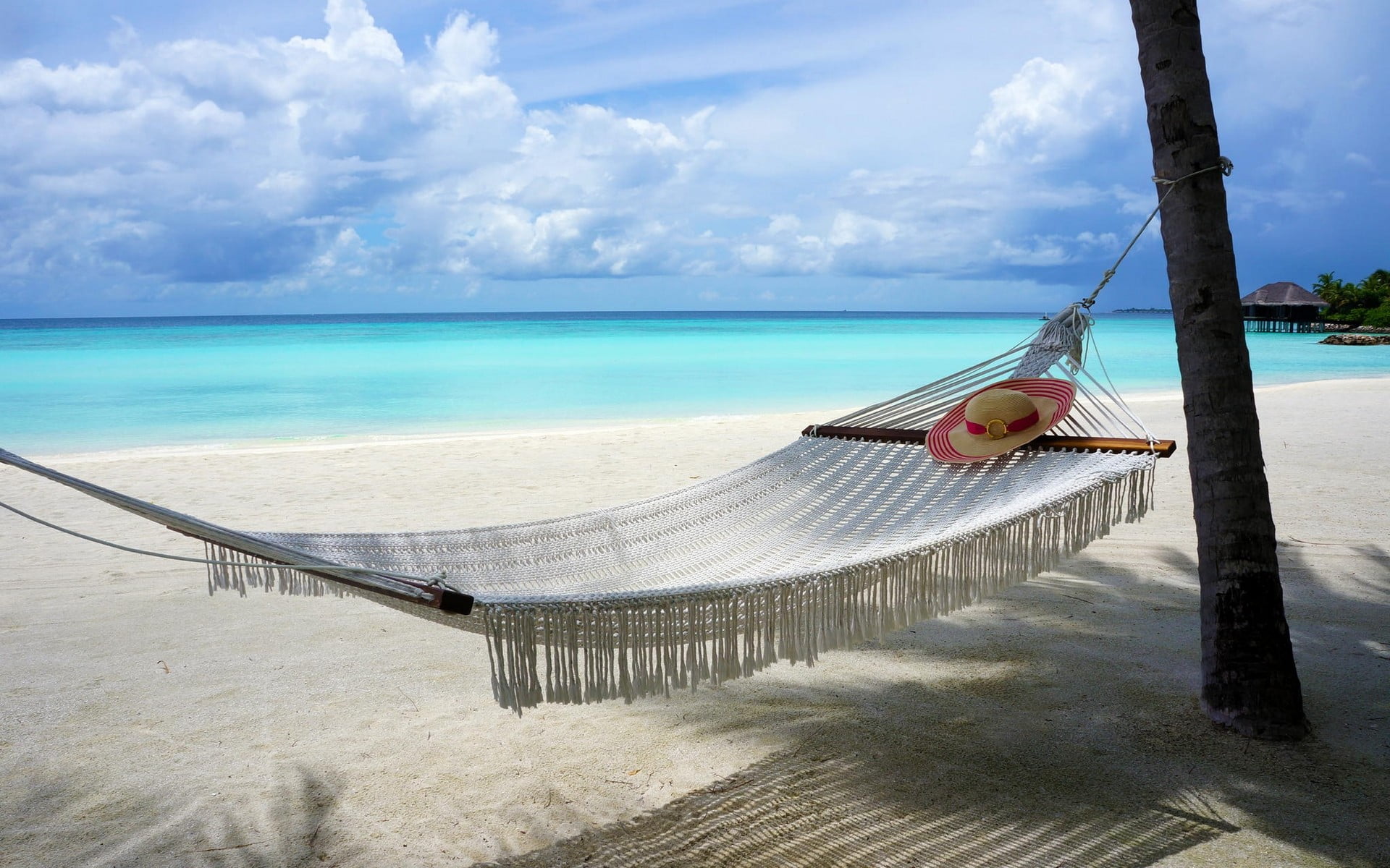 white hammock, beach, Maldives, island, nature, sand, hammocks