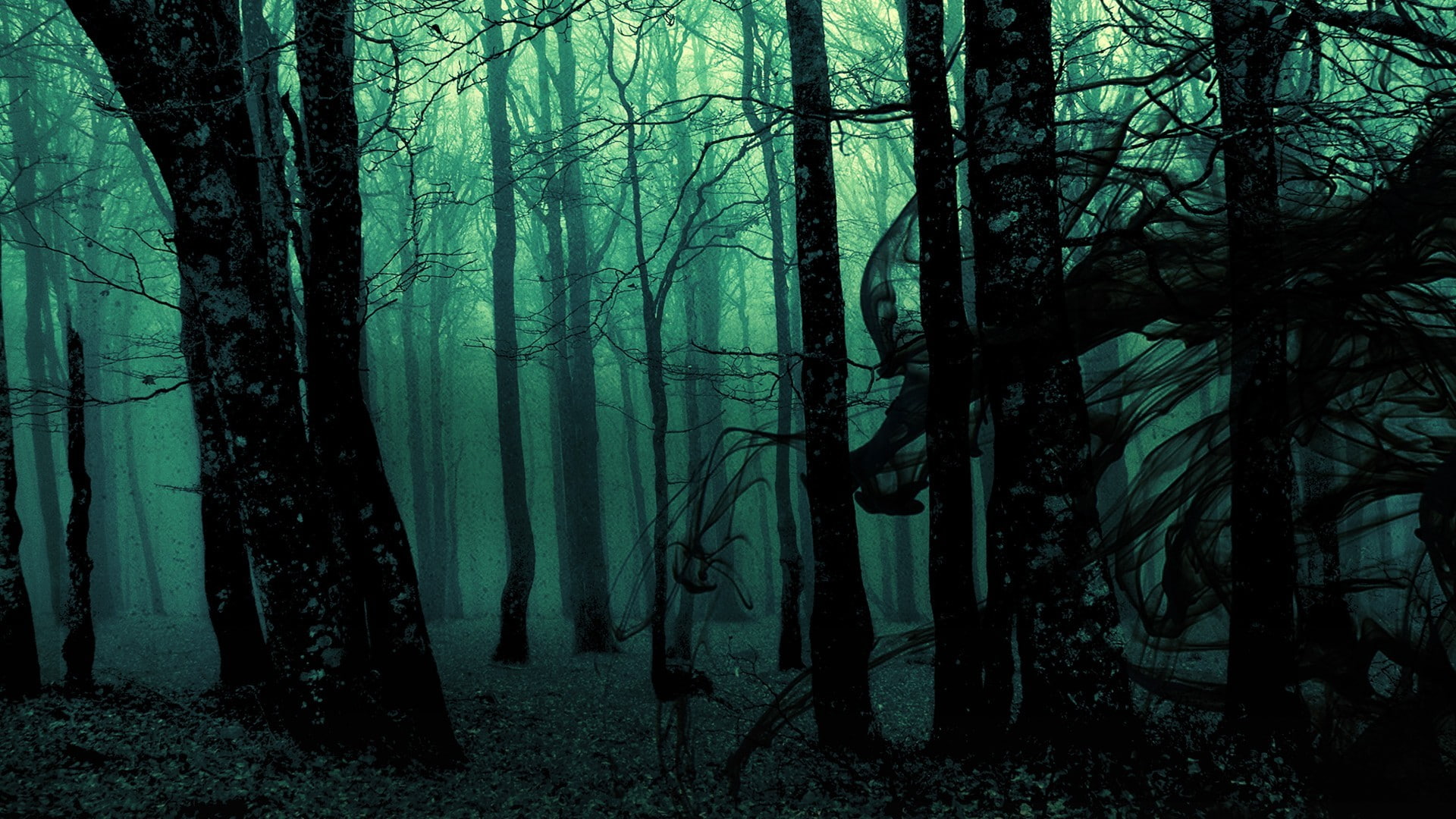 forest, green, trees, dark, nature, spooky, digital art