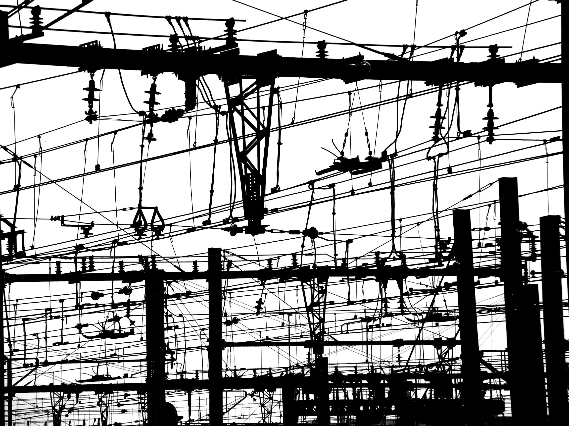 Pylone Electric Lines, black, animals