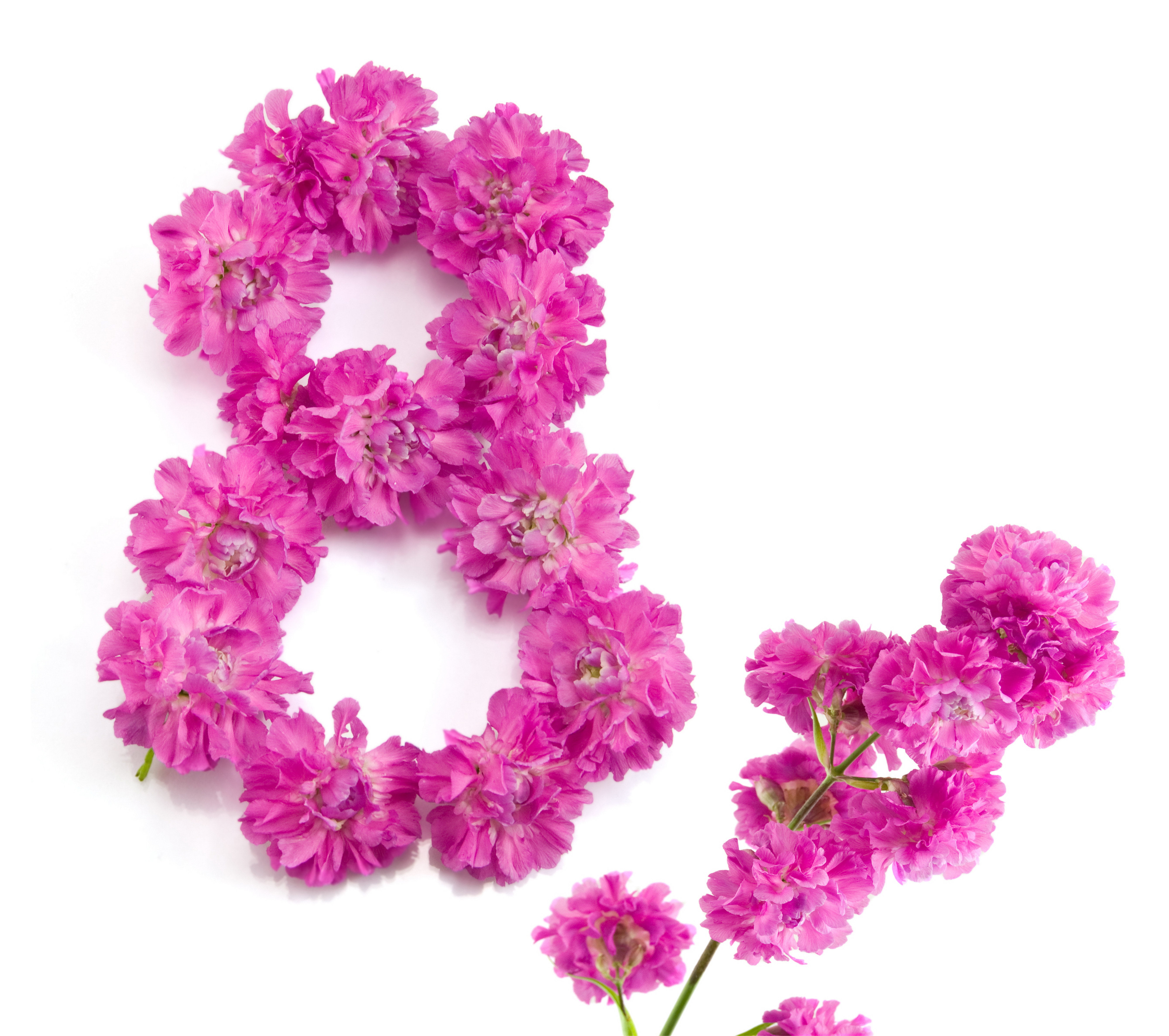 two pink petaled flower crowns, flowers, March 8, international women's day