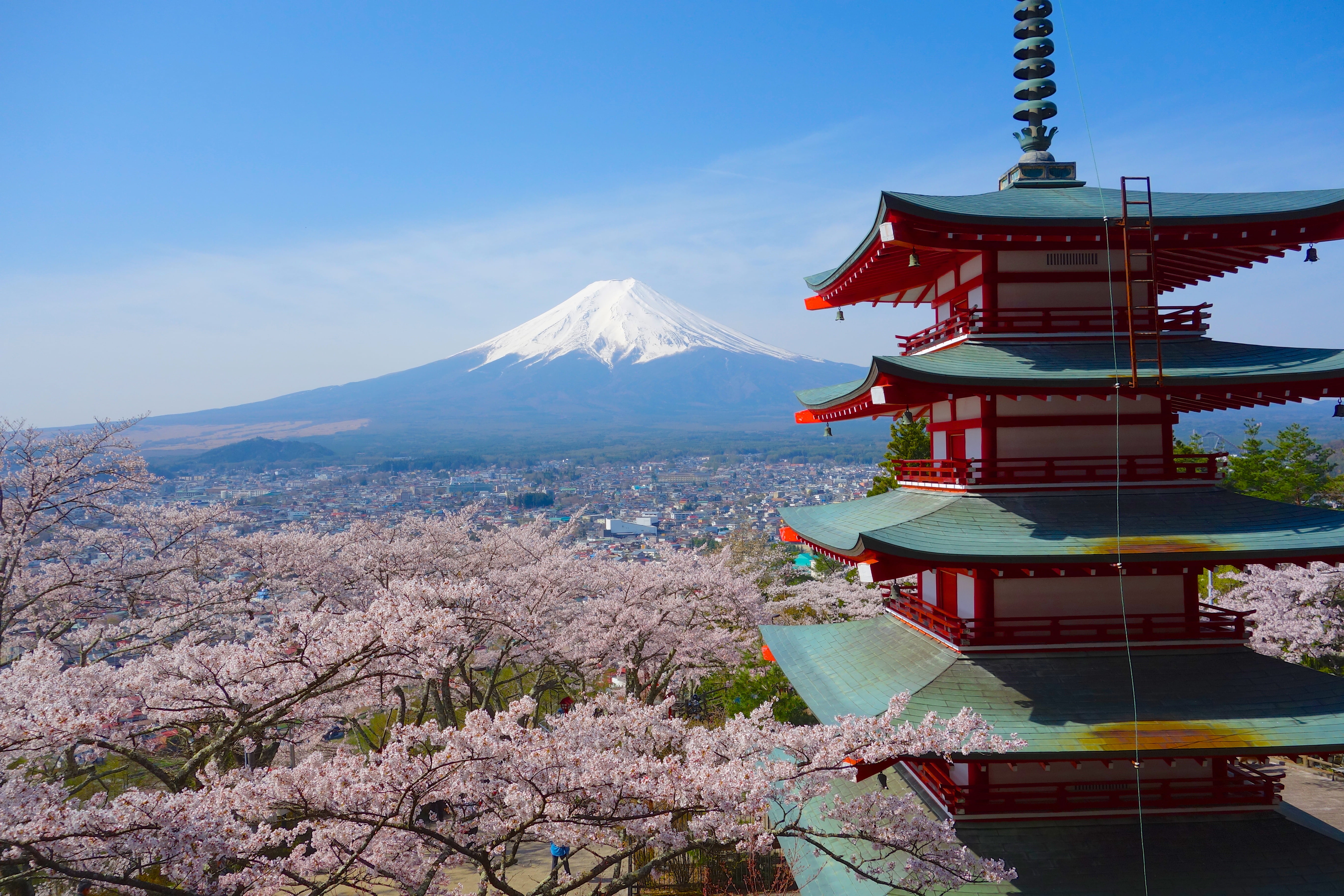 Japanese Style Pagoda To Five Storey Called Chureito Surrounded By Beautiful Mountain Sakura Fujisan Background Hd Wallpaper Download For Mobile