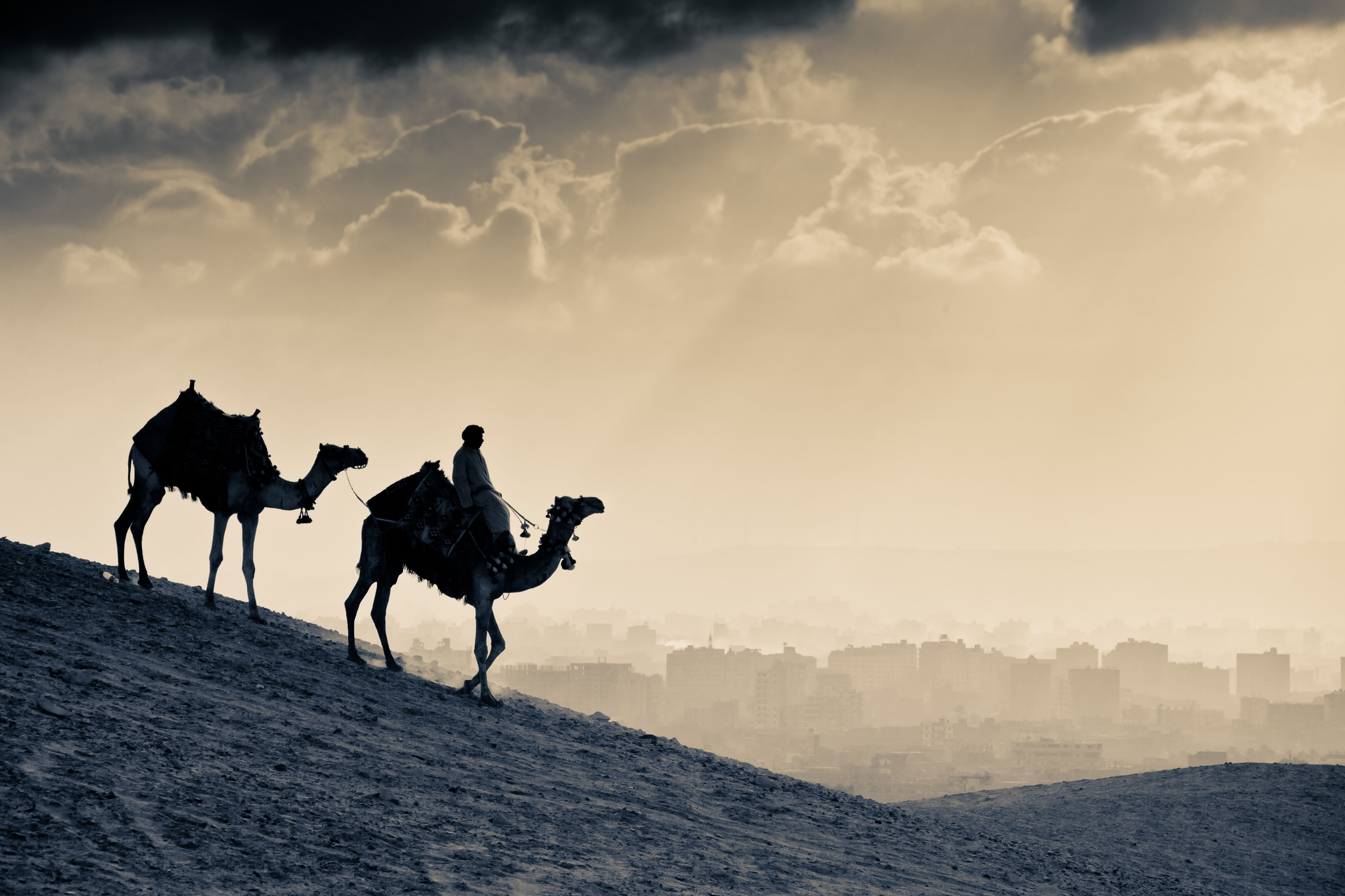 two camel under white clouds painting, people, silhouette, desert