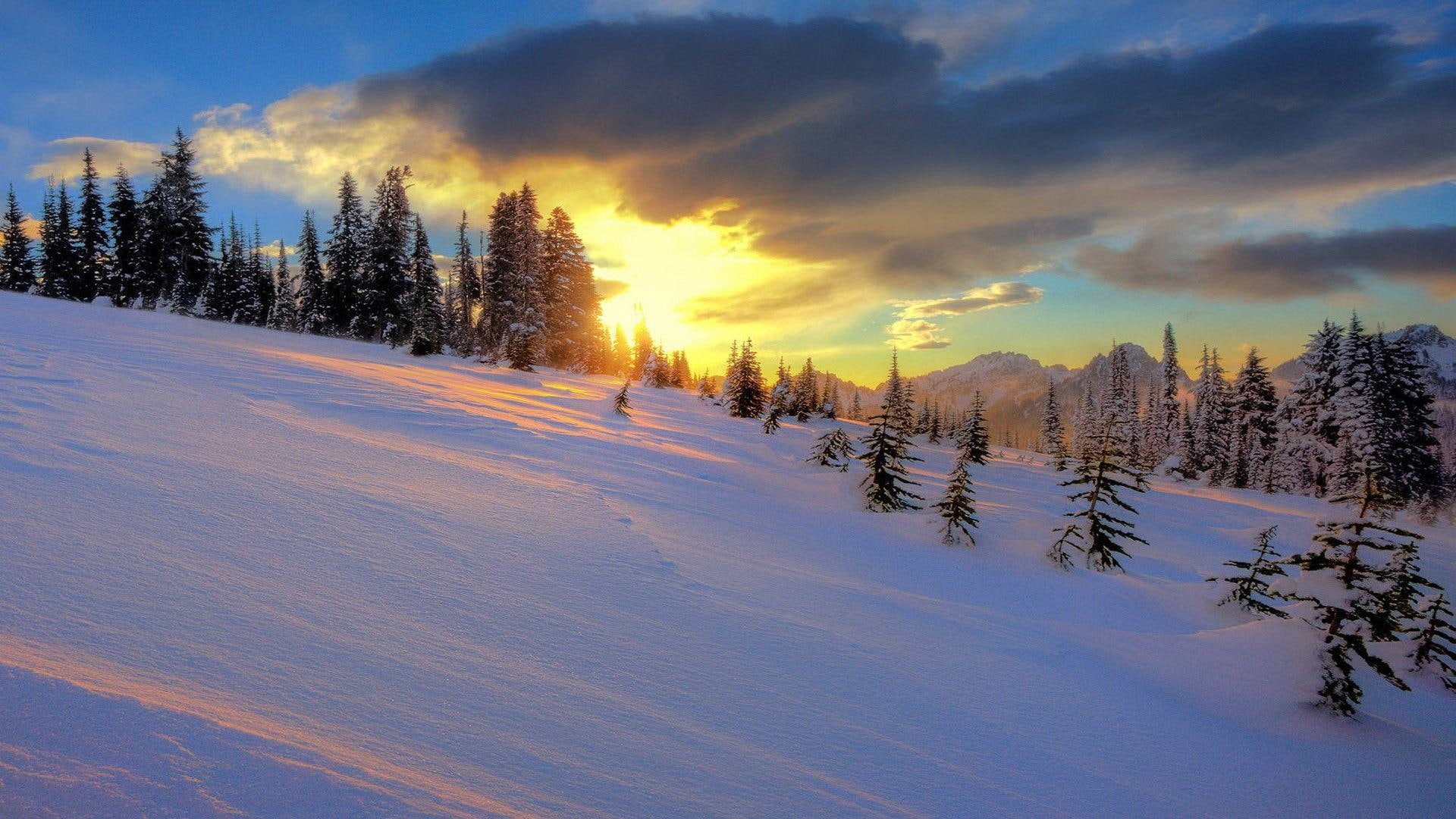 Snowy hills in the sunset, snow covered mountain and pine trees
