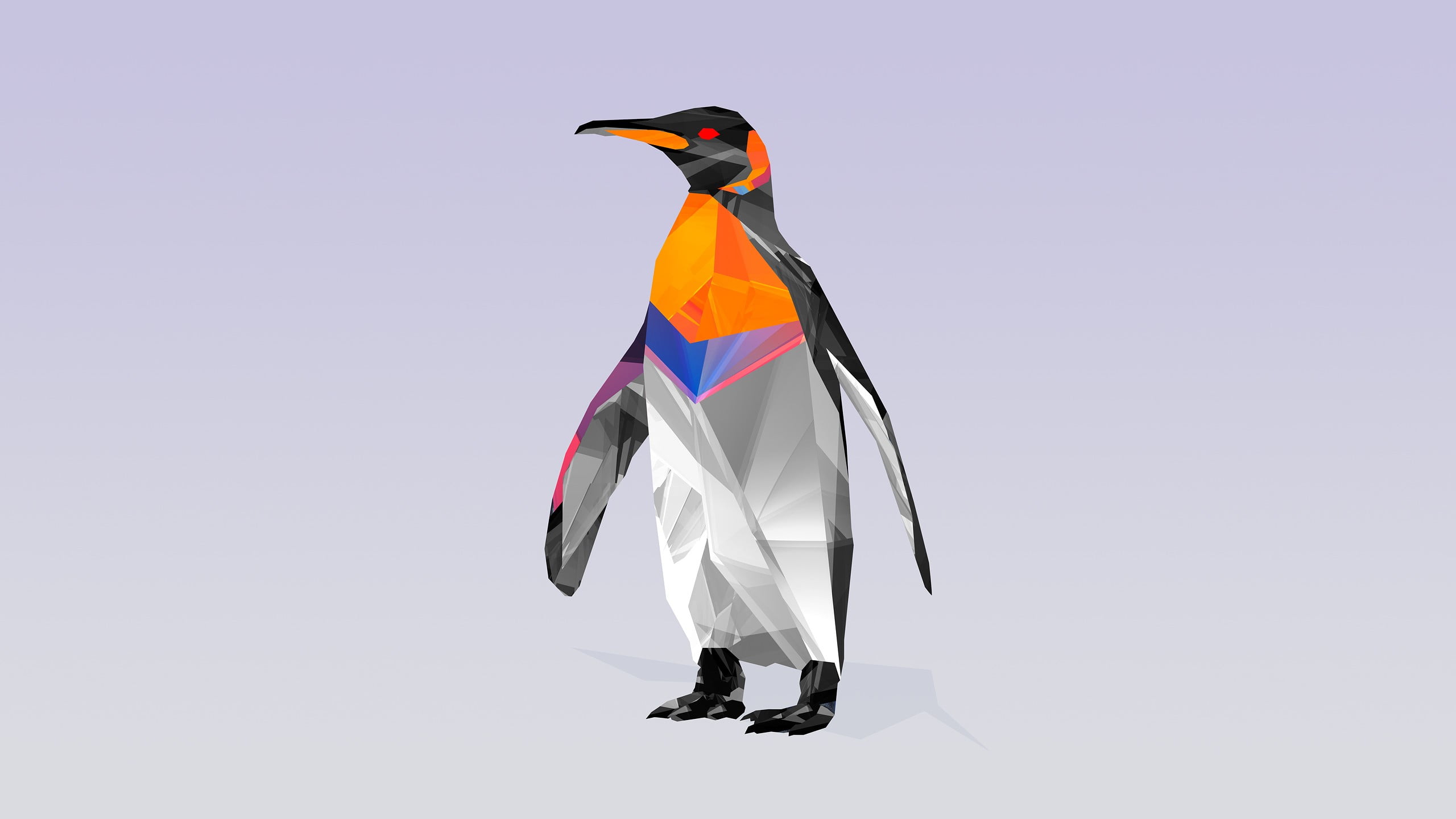 orange, black, and white penguin digital wallpaper, Facets, animals