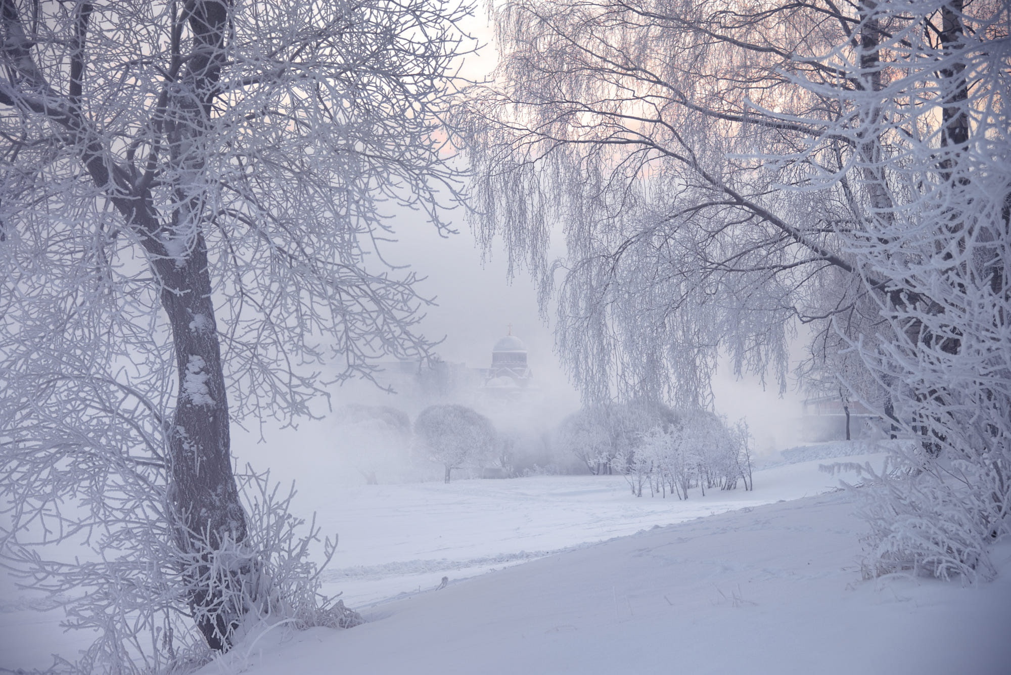winter, frost, trees, fog, photographer, Saint Petersburg, Ed Gordeev