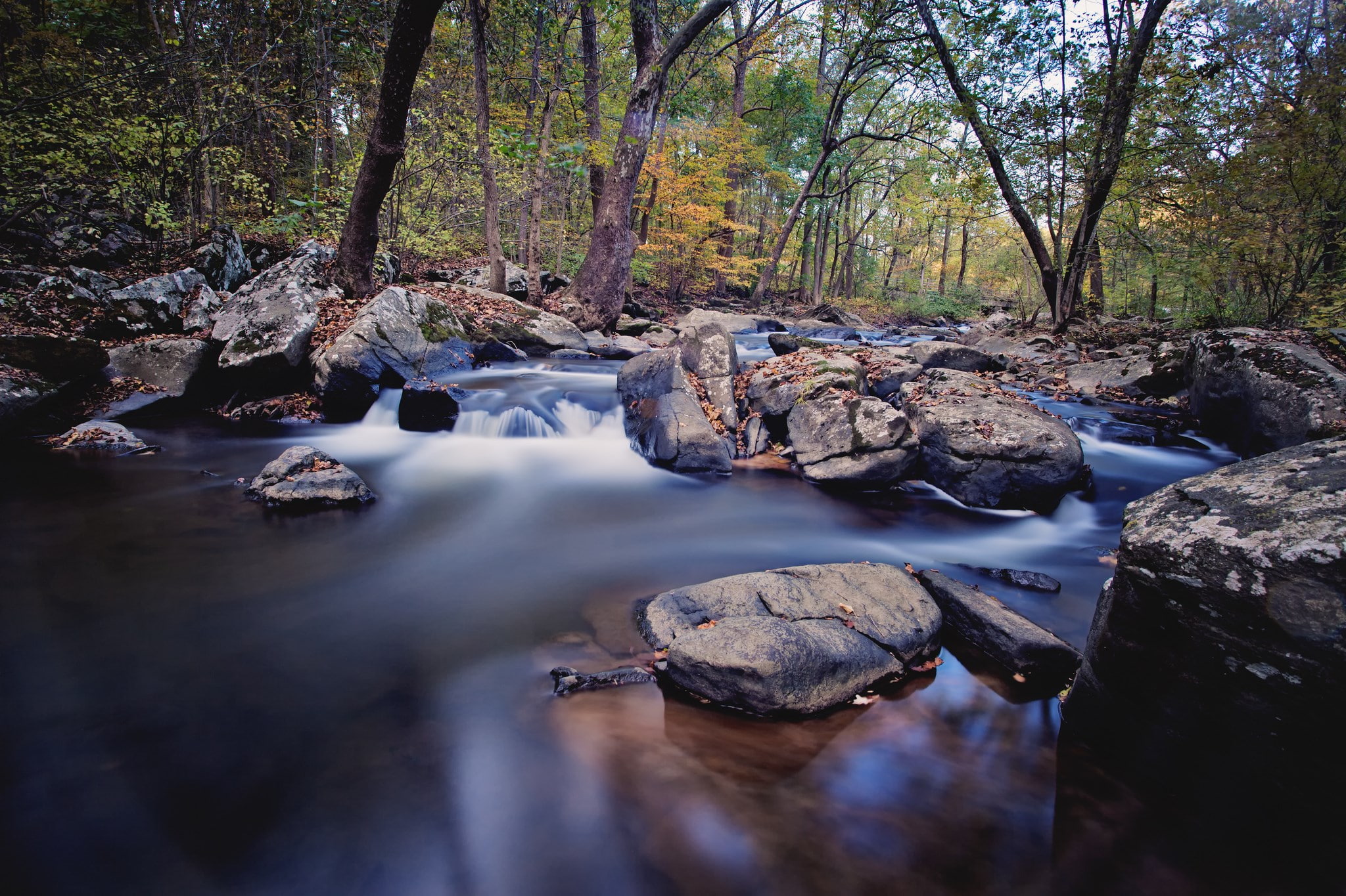 river, tree, water, rock, forest, rock - object, solid, plant