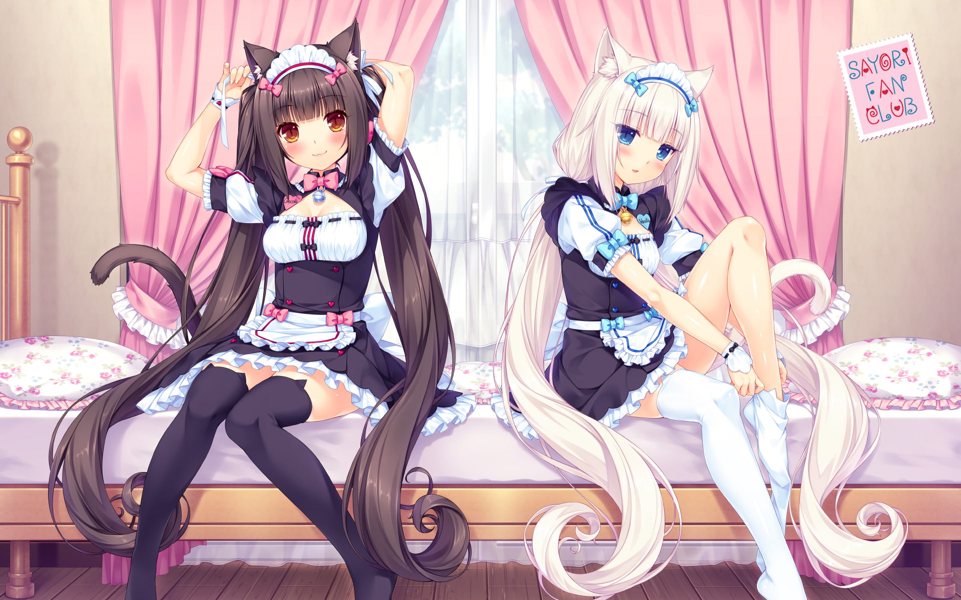 Free Download Hd Wallpaper Anime Nekopara Chocola Nekopara