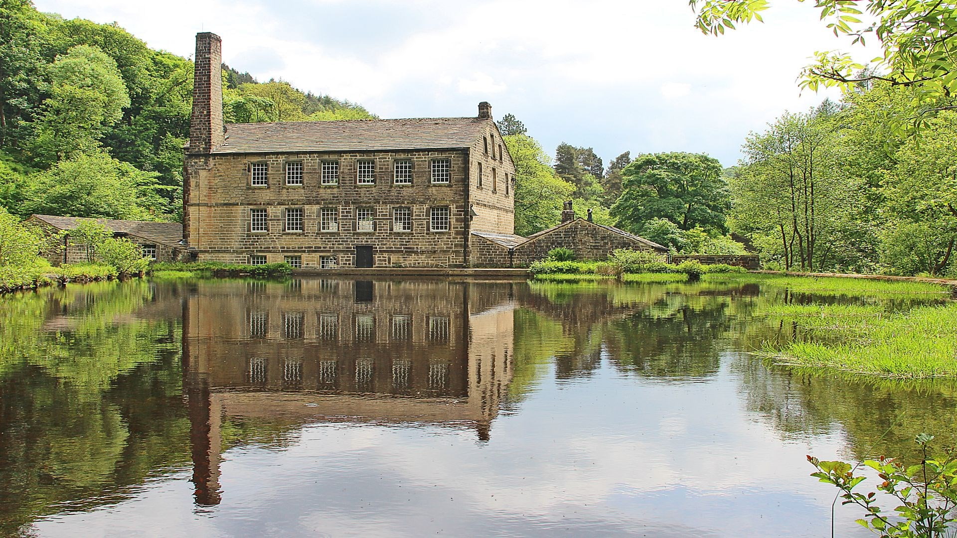 reflection, tree, water, plant, built structure, architecture