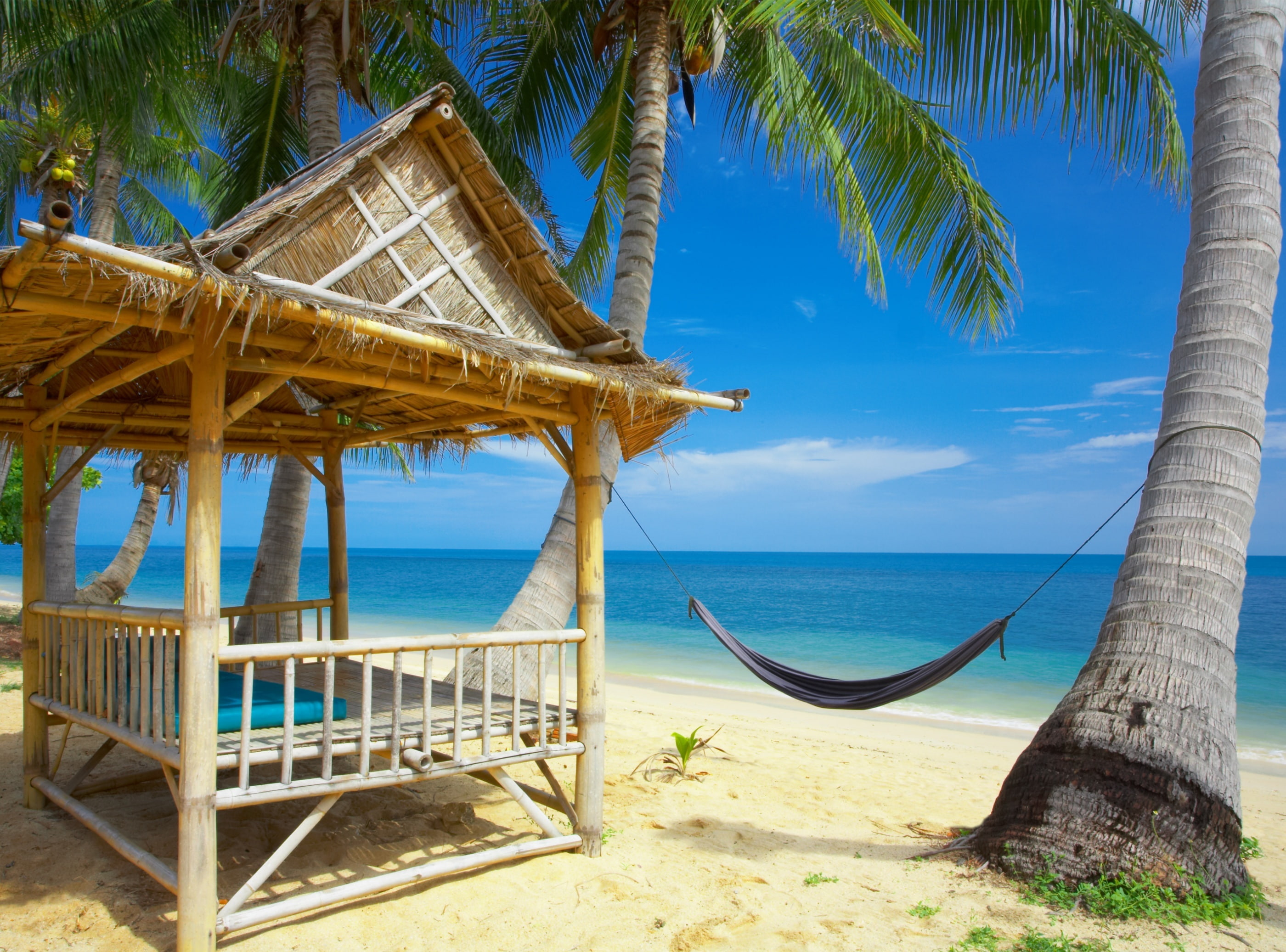 Hammock On The Beach, black hammock, Travel, Islands, sea, palm tree