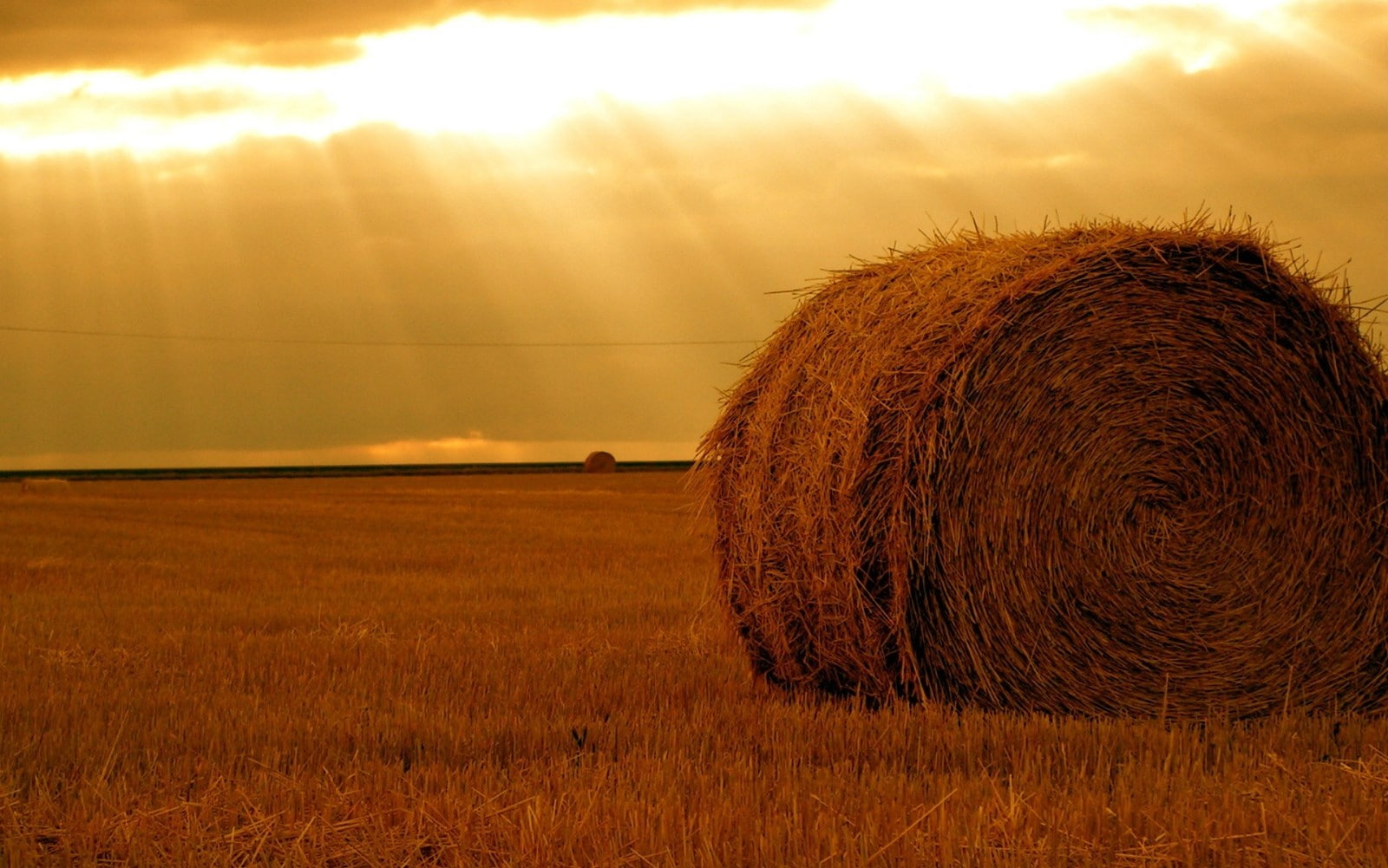 haystack
